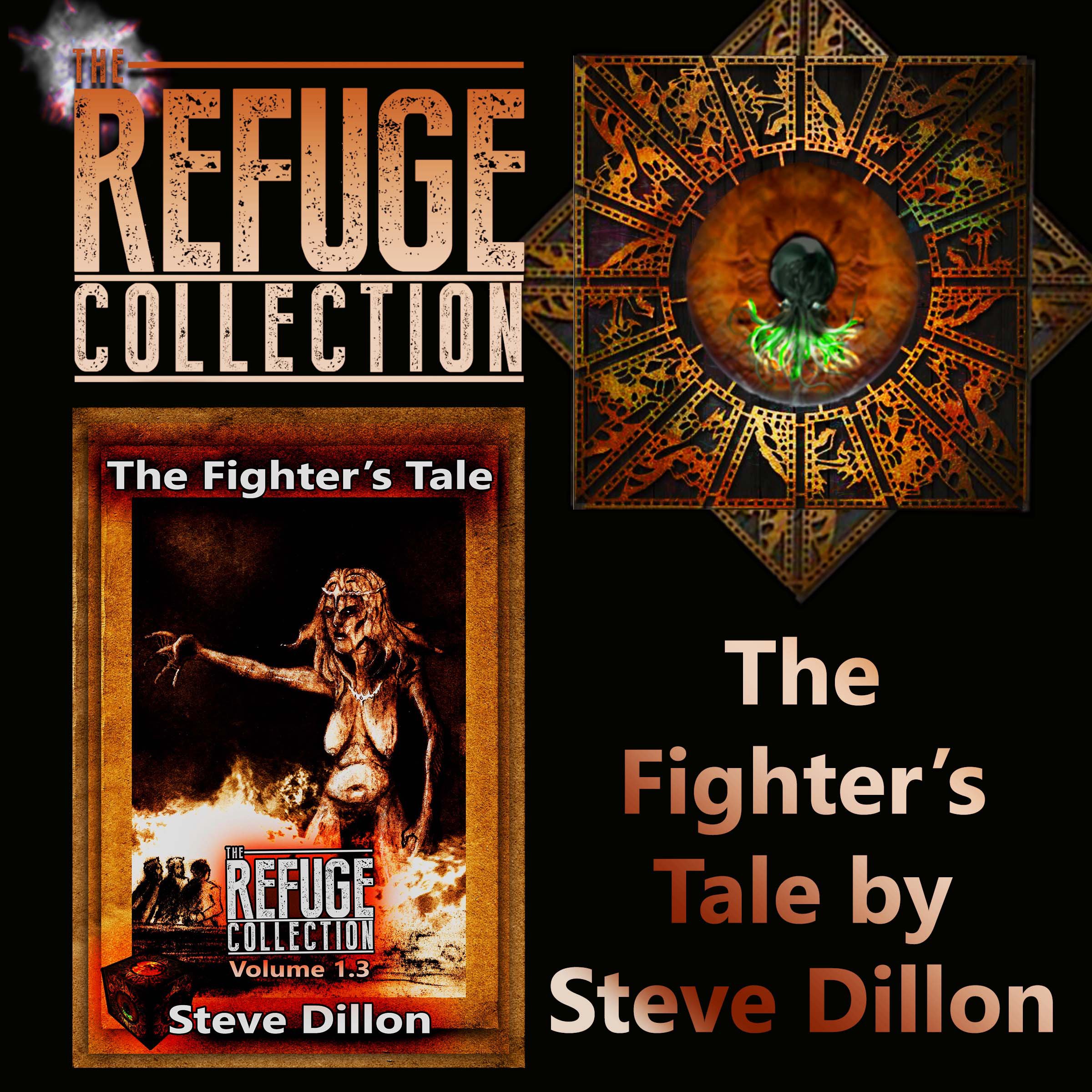Cover art for The Fighter's Tale