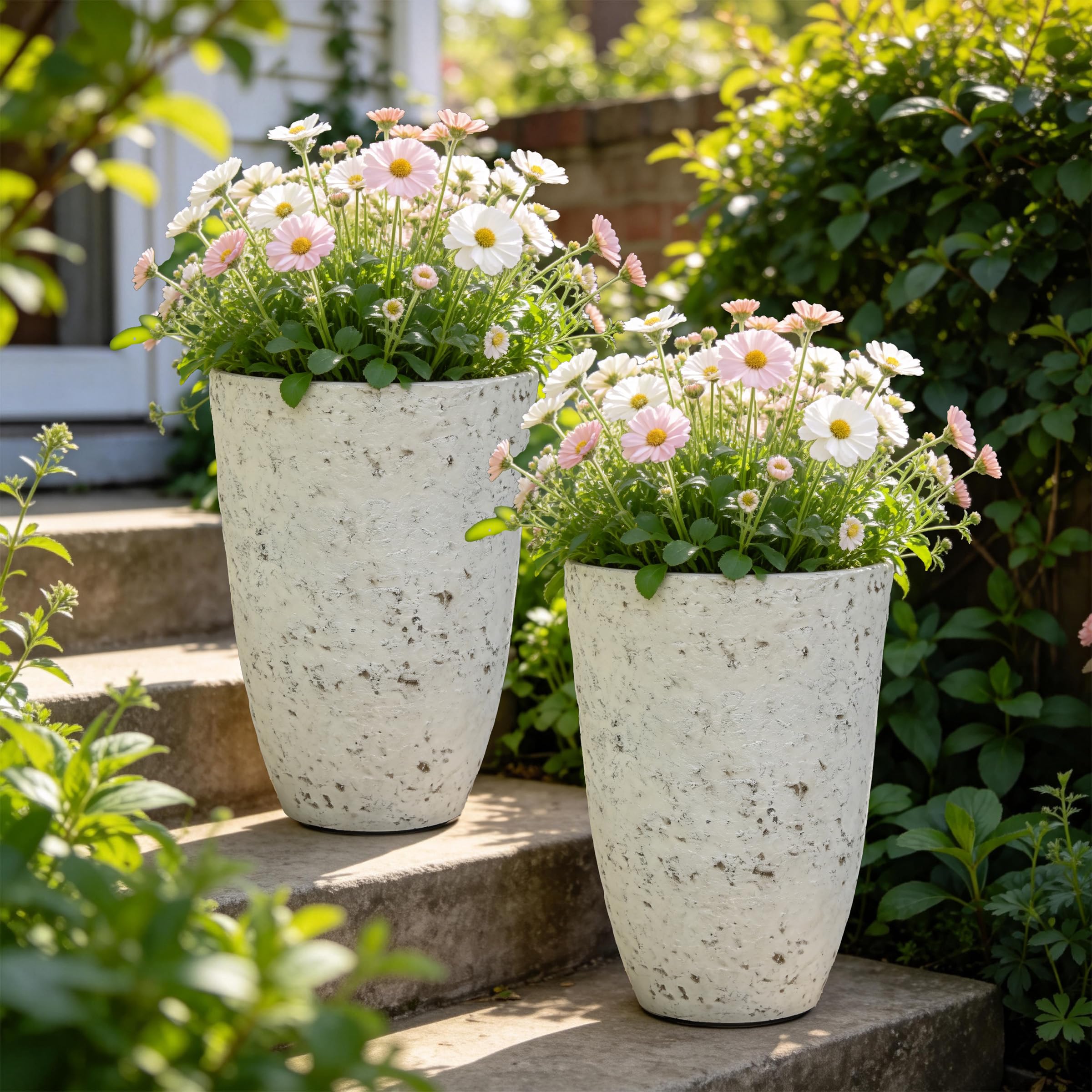 SRL BRIMTYPE PLANT POT-M valiem カタチ製作所 Amazon.com: Autodaya 19.5