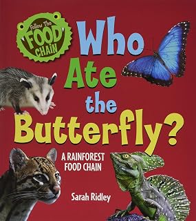 Who Ate the Butterfly? A Rainforest Food Chain: A Rainforest Food Chain (Follow the Food Chain)