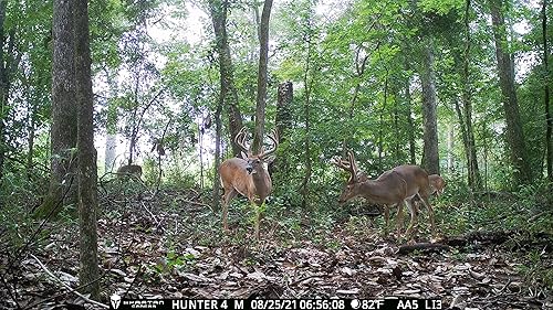 Miniatura 6 de Spartan GoLive 4G LTE Trail Cámara, certificado Verizon, transmisión en vivo, GPS antirrobo, captura de imagen y video bajo demanda, actualizaciones