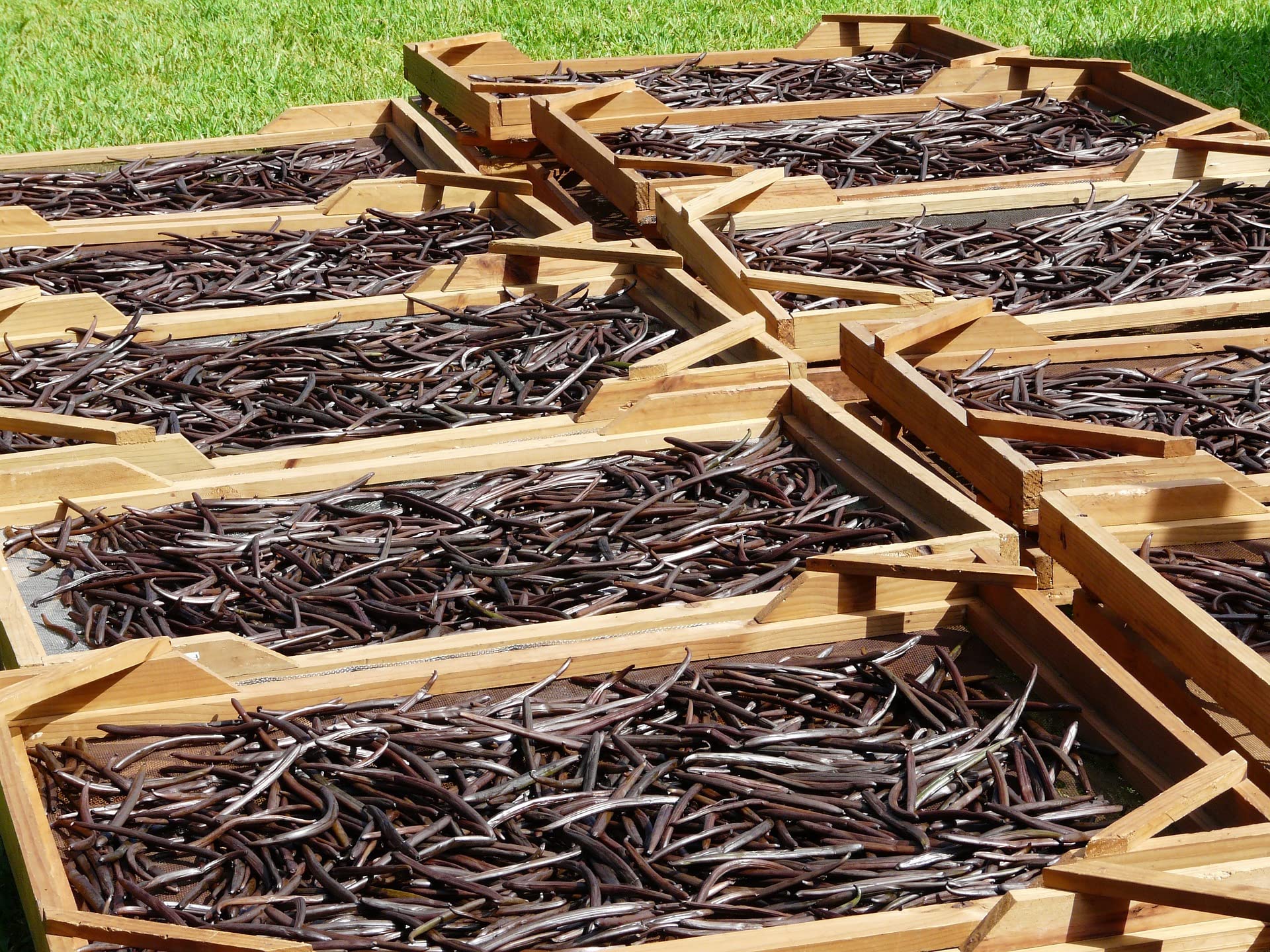 Kamelur 100g de vanille Bourbon BIO véritable moulue de Madagascar - poudre de vanille Bourbon BIO aromatique, sans additifs - conditionnée dans un emballage biodégradable