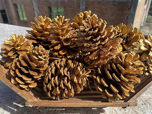 Miniatura 4 de Paquete de 20 piñas naturales grandes, adornos de Navidad de 1.57 a 1.97 pulgadas para manualidades, decoración del hogar, decoraciones de Acción de