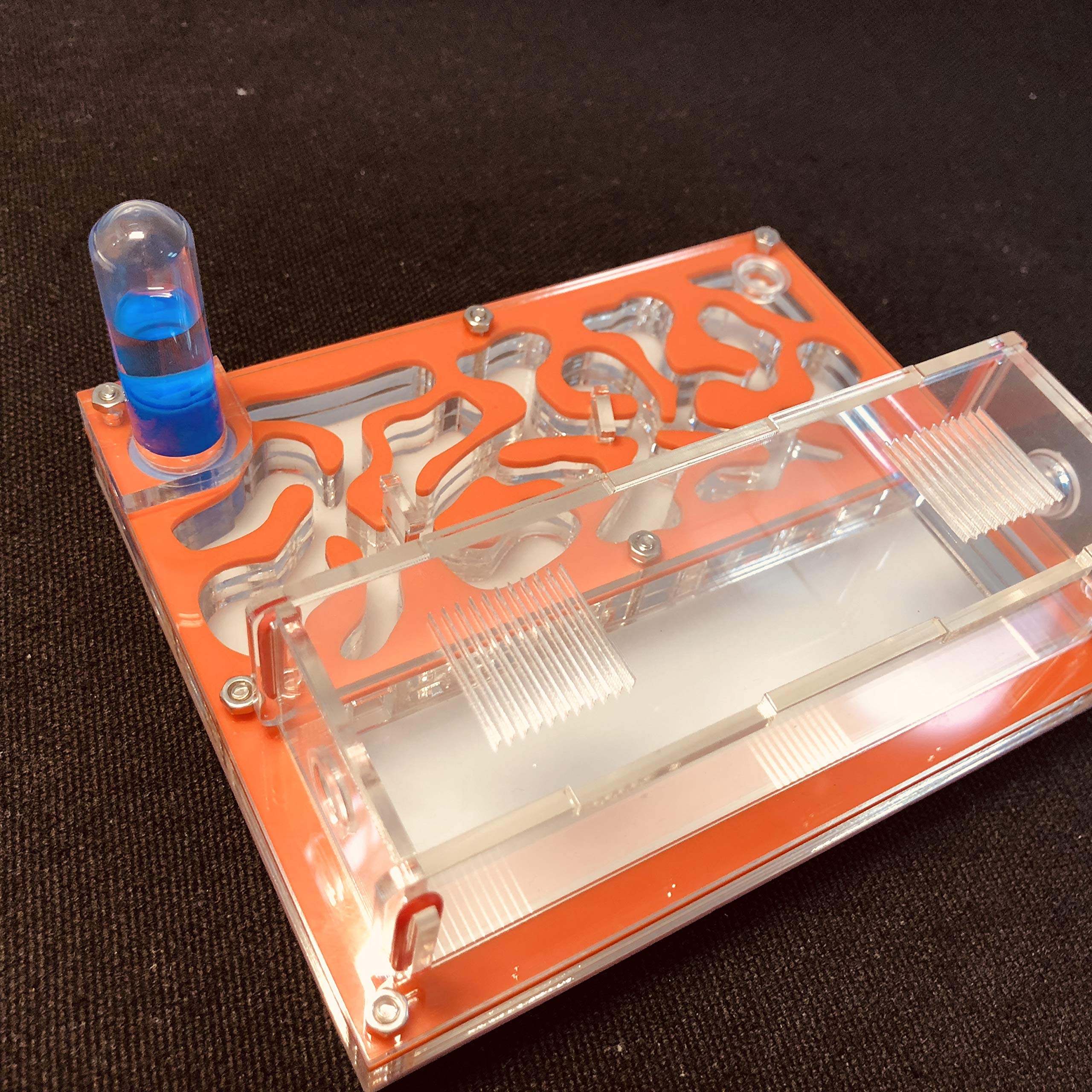 Ant Grape Formicarium Educativo para Granja de Hormigas para Tubo de ensayo de Hormigas Vivo Humedad Gran Espacio Nido de Hormigas de acrílico, Hormigas Insectos (Naranja) - 3