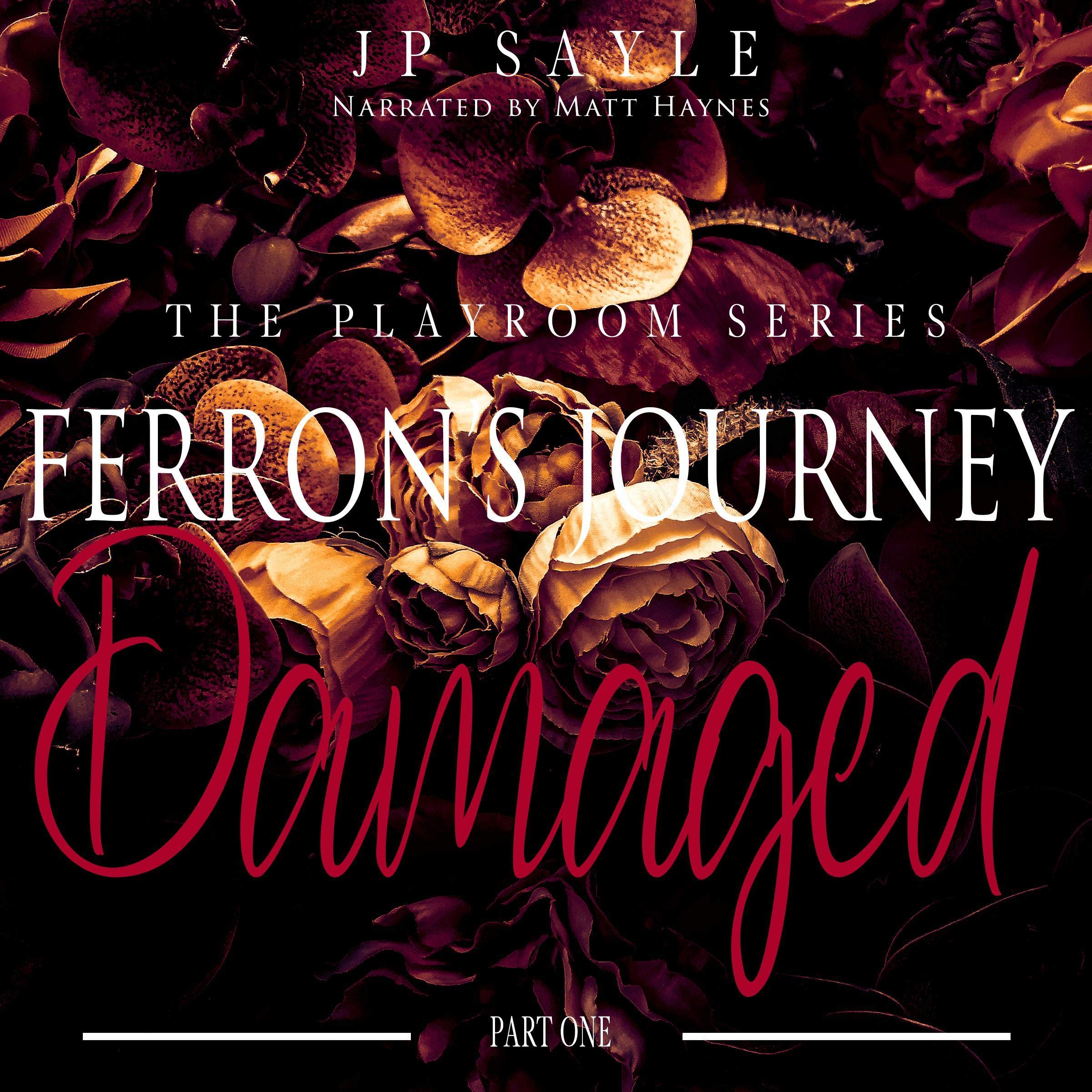 Ferron's Journey: Part One Damaged: Gripping M/M Romantic Suspense (The Playroom Book 4)