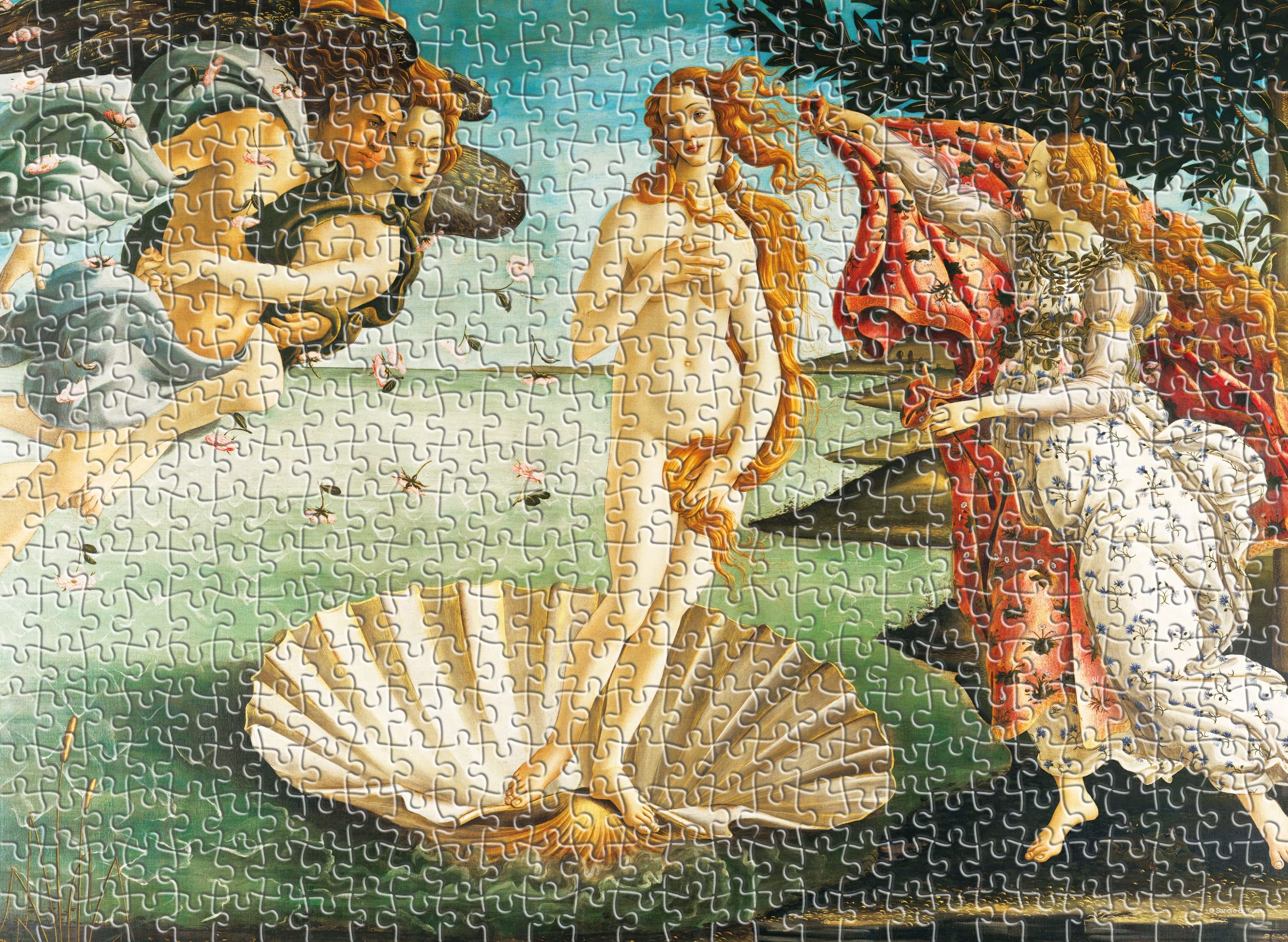 Amazon.com: The Birth of Venus by Botticelli Painting 500 Pieces