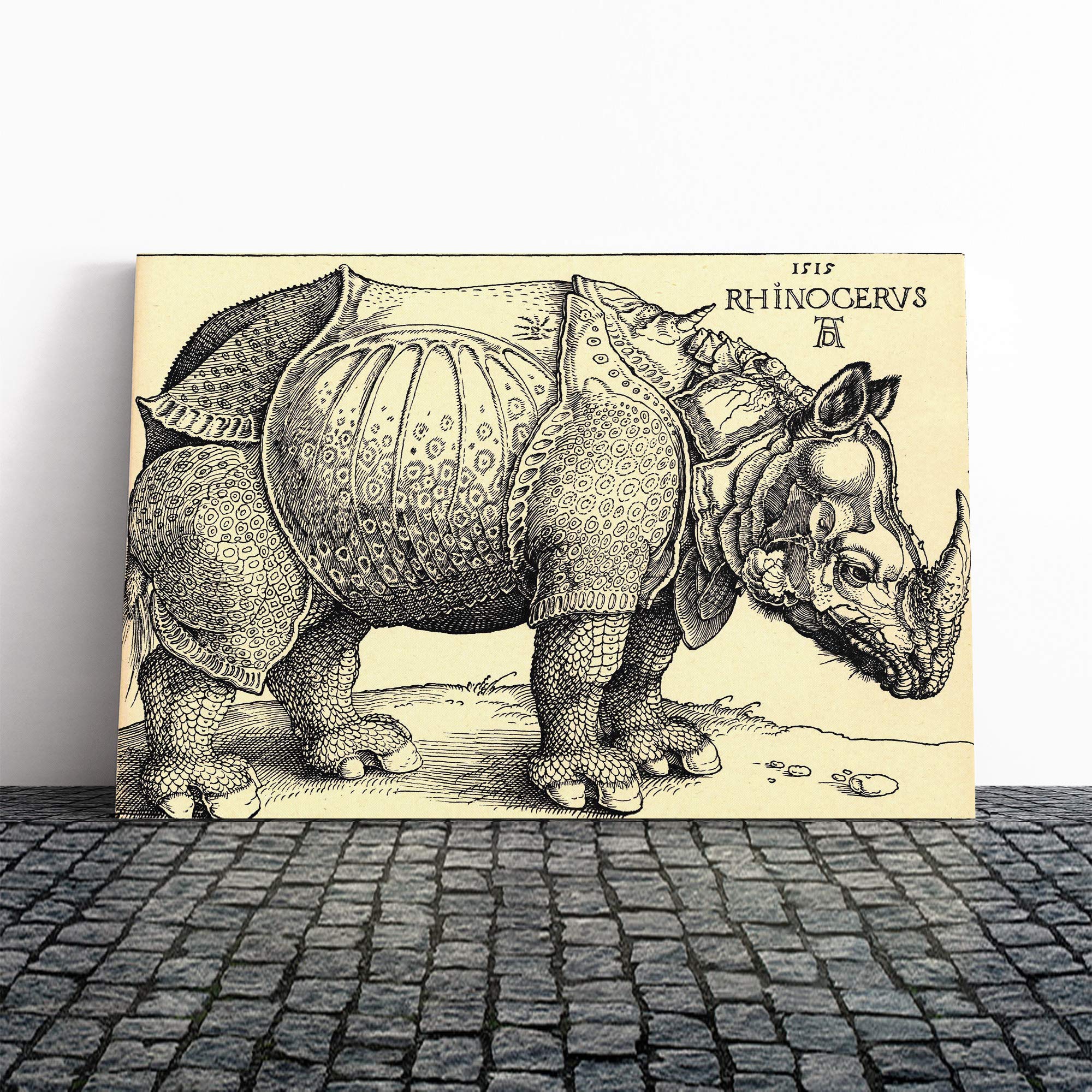 Albrecht Durer Rhinoceros Canvas Print | Gallery Wrapped 30mm Frame Wall Art | 30x20 inches | Ready to Hang | Modern Animal Picture | Living Room Bedroom Lounge Office