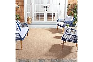 SAFAVIEH Courtyard Collection Area Rug - 10' x 10'