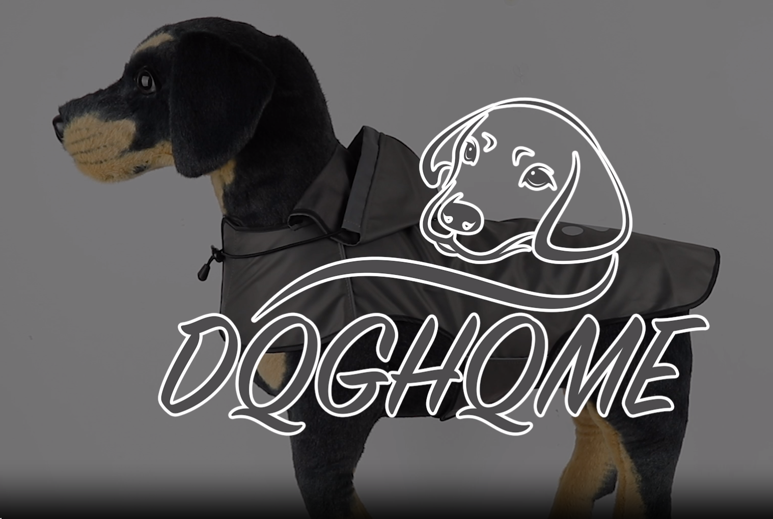 Amazon | 犬レインコート 防水 防風 通気性 軽量 透明フード付き 着脱