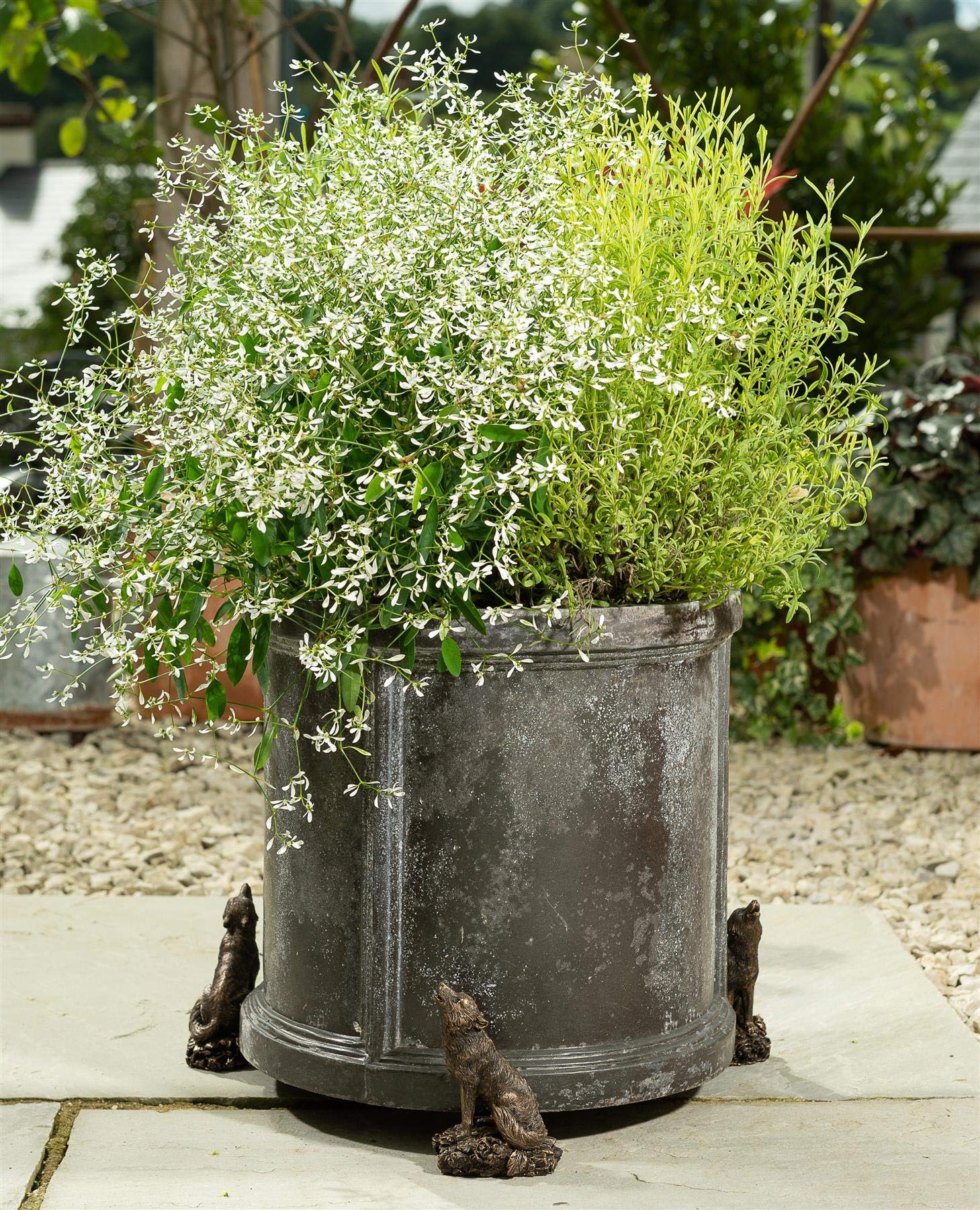 Potty Feet Wolf Figures Plant Pot Feet - Planter Support - Handmade Decorative Ornaments - 3pcs