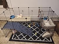 Review Image by Ashley Ashley