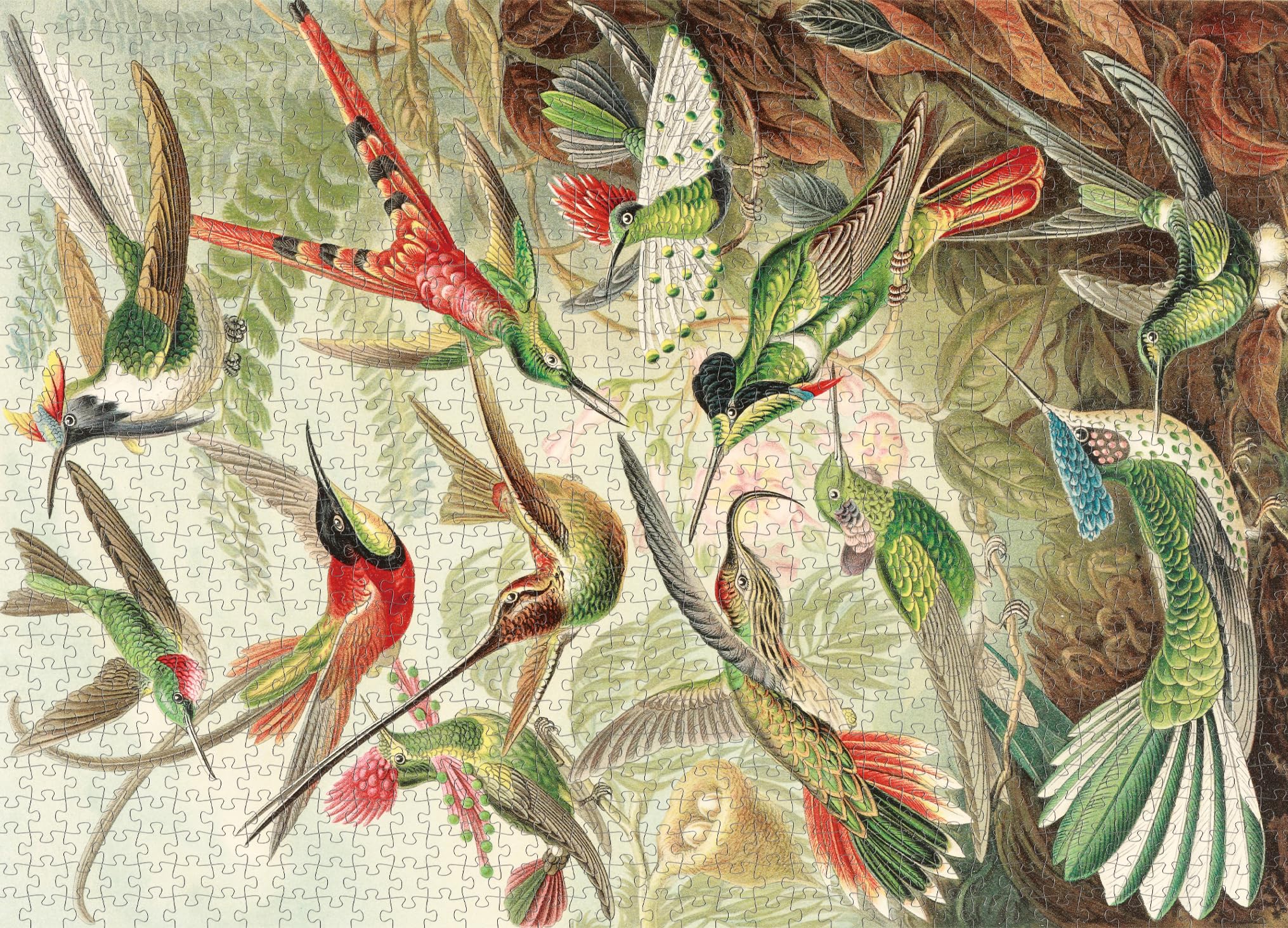 WESEN 1000 Piece Jigsaw Puzzle for Adult - Hummingbirds Flower Birds Jigsaw for Stress Relief & Fun, Challenging Festive Family Puzzle, Premium Artwork for Relaxation & Decor