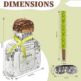 BIRCHIO Tequila Bottle Pinata, Silver, Perfect for Birthday Parties, 10.5 x 10.5 x 4 Inches, 5 Pound Capacity, Adult-Party Pinata