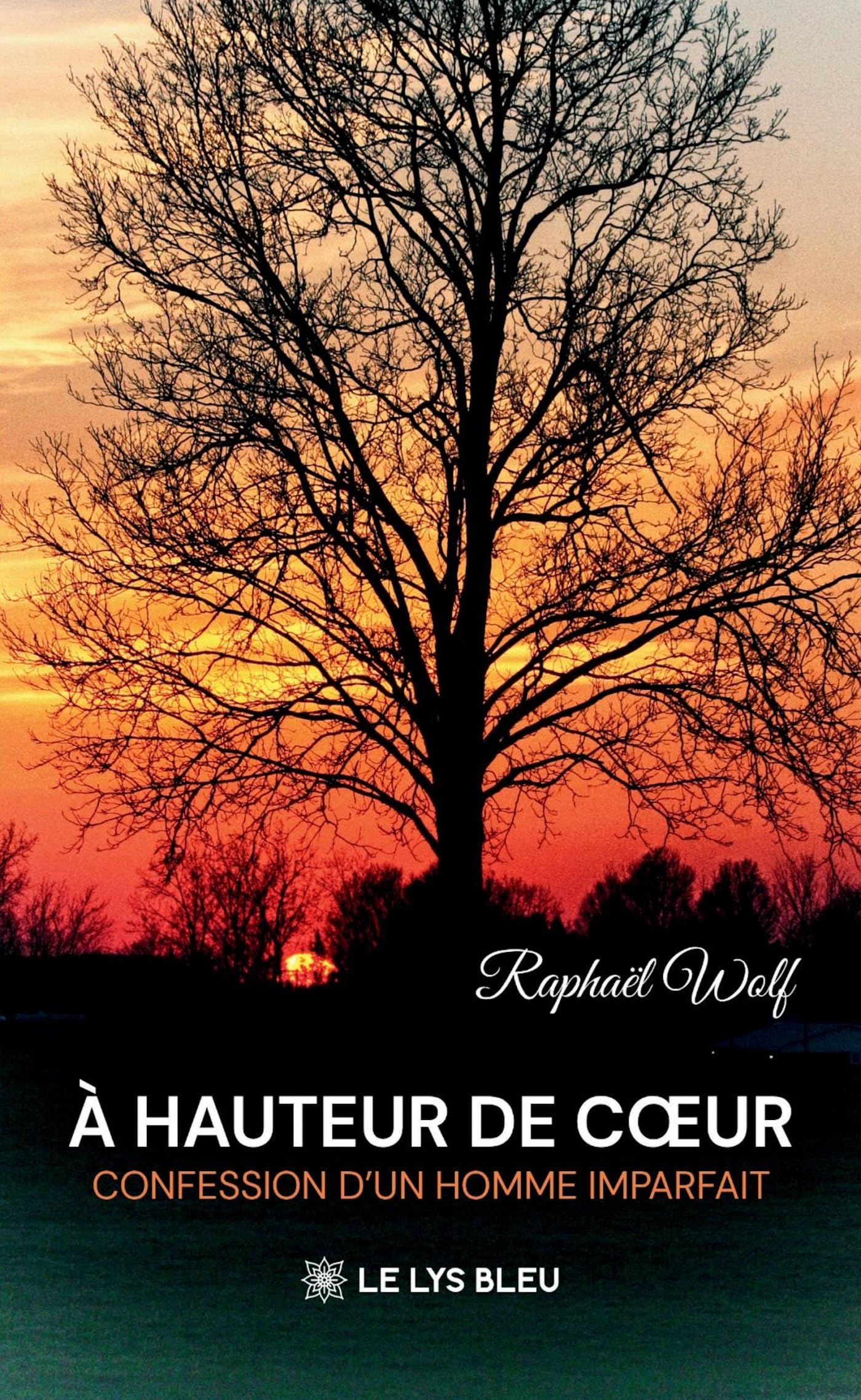 À hauteur de coeur: Confession d'un homme imparfait