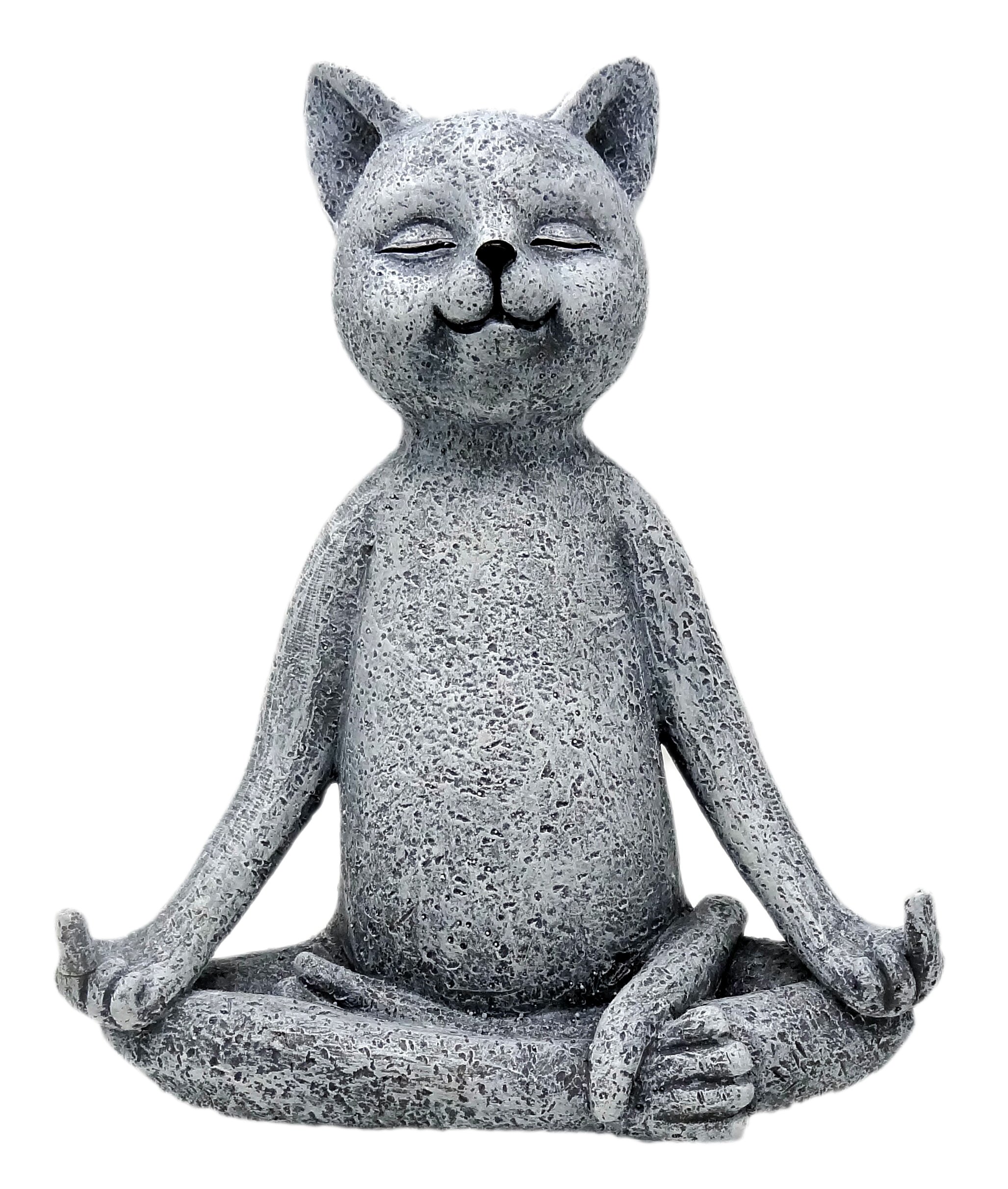 Funny Guy Middle Finger Cat