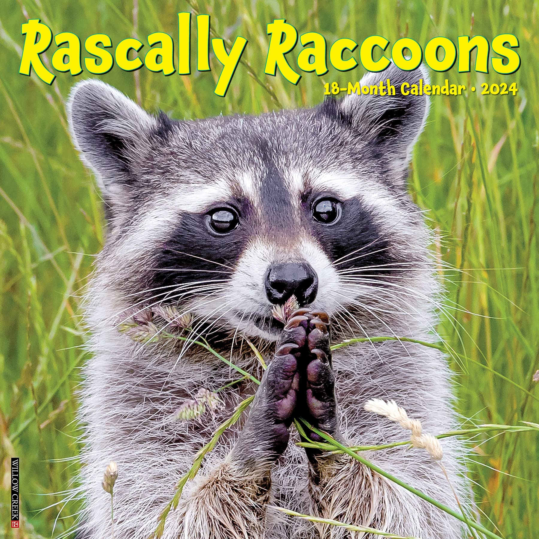 Buy Rascally Raccoons 2024 Online at desertcartINDIA