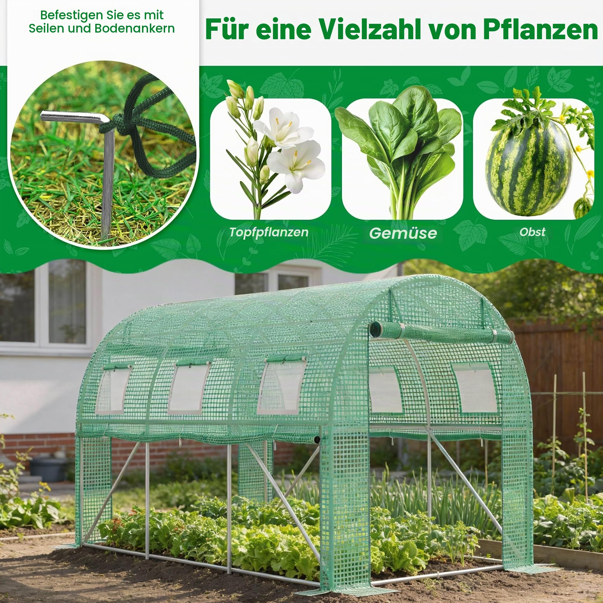 UISEBRT Gewächshaus Foliengewächshaus mit 2 Tür,16 Aufrollbare Fenster mit Moskitonetz,Folientunnel Tomatenhaus aus verzinktem Stahl, PE, Folienzelt inkl. Erdanker & Seilen,800x300x200cm