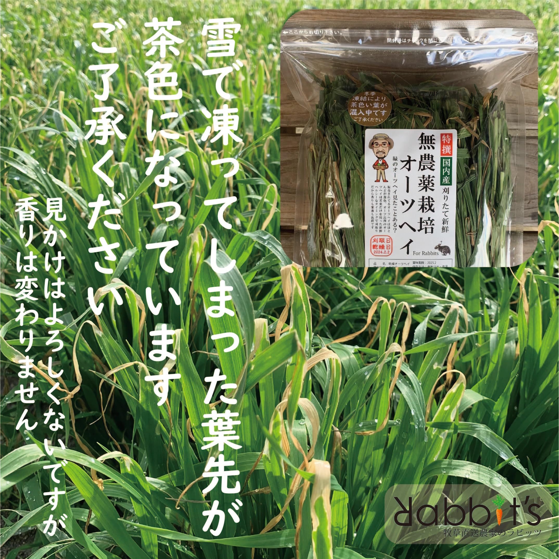 Amazon.co.jp: 【牧草直送農家のラビッツ】特撰無農薬オーツヘイ70g