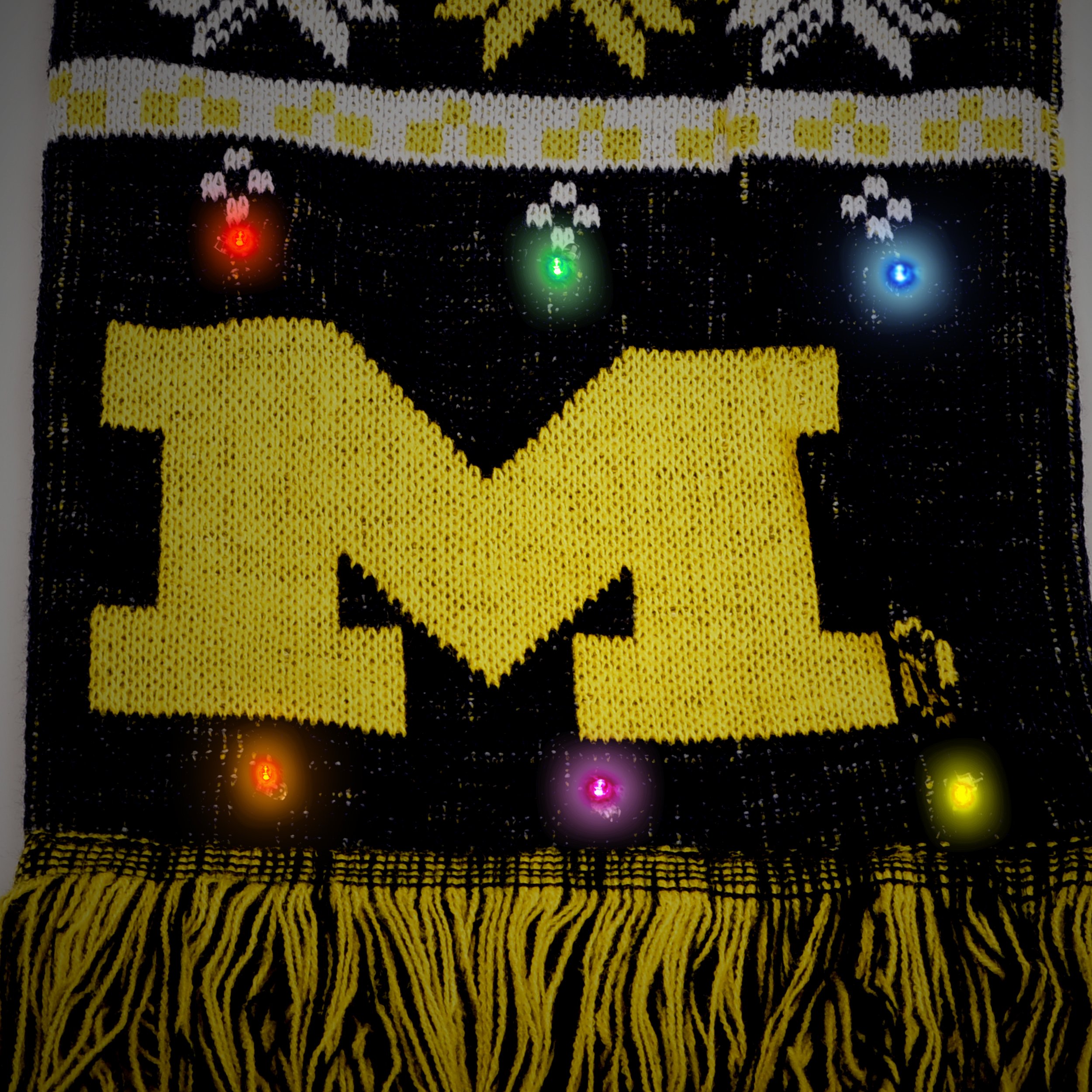 FOCO Michigan Light Up Scarf