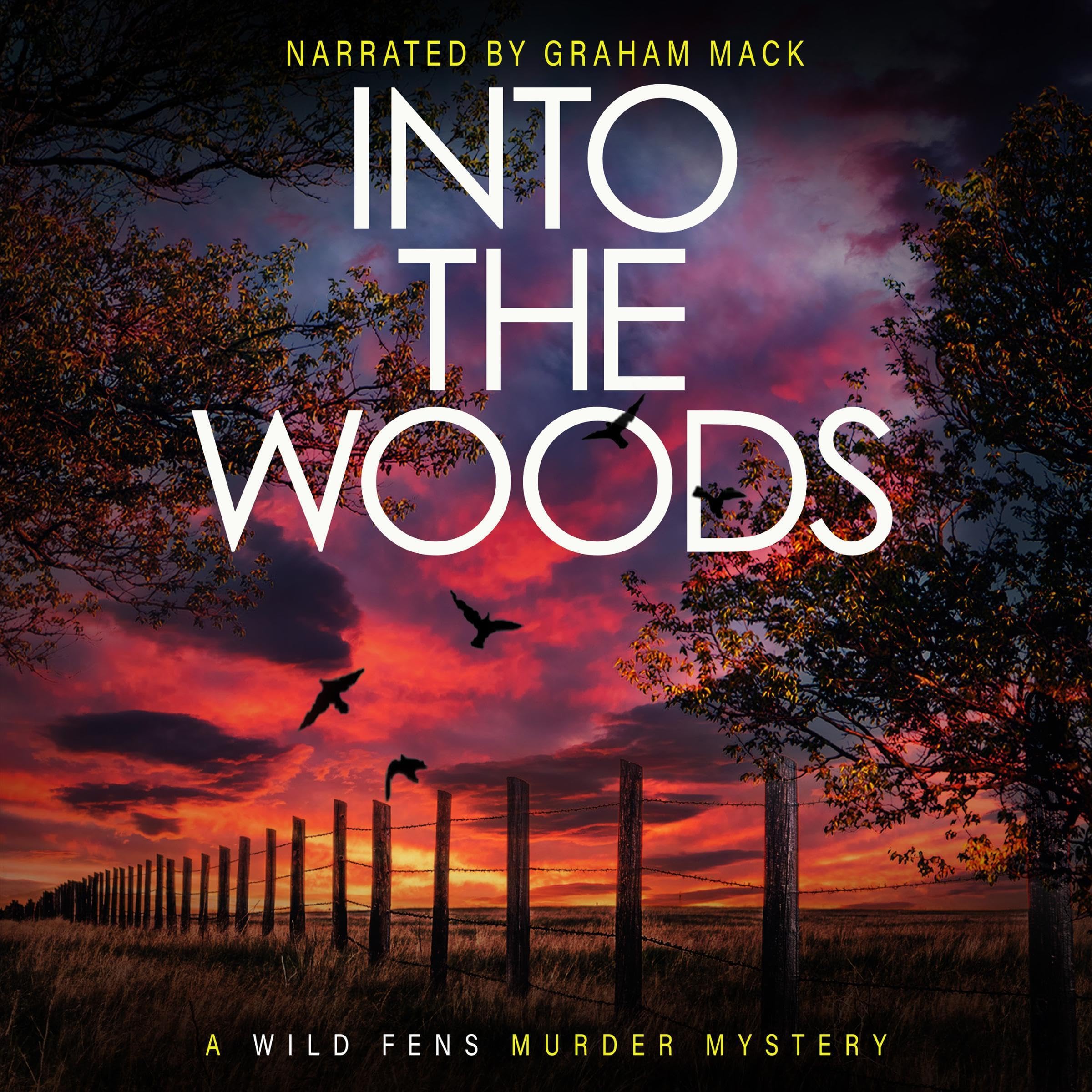 Cover art for Into the Woods