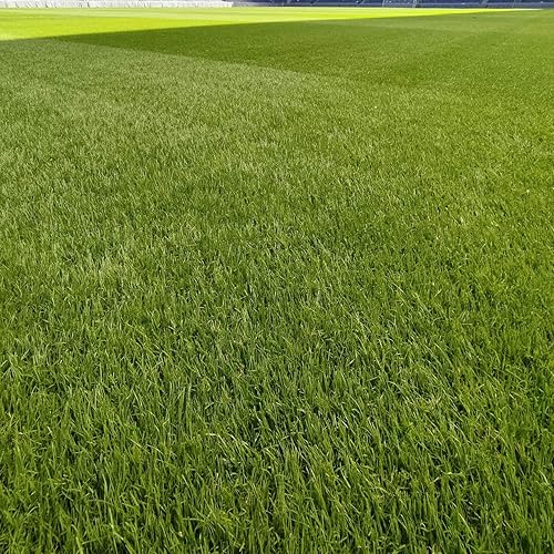 Bermuda Grass Calendar Bermuda Grass Care Bermuda Grass Calendar Bermuda Grass Care