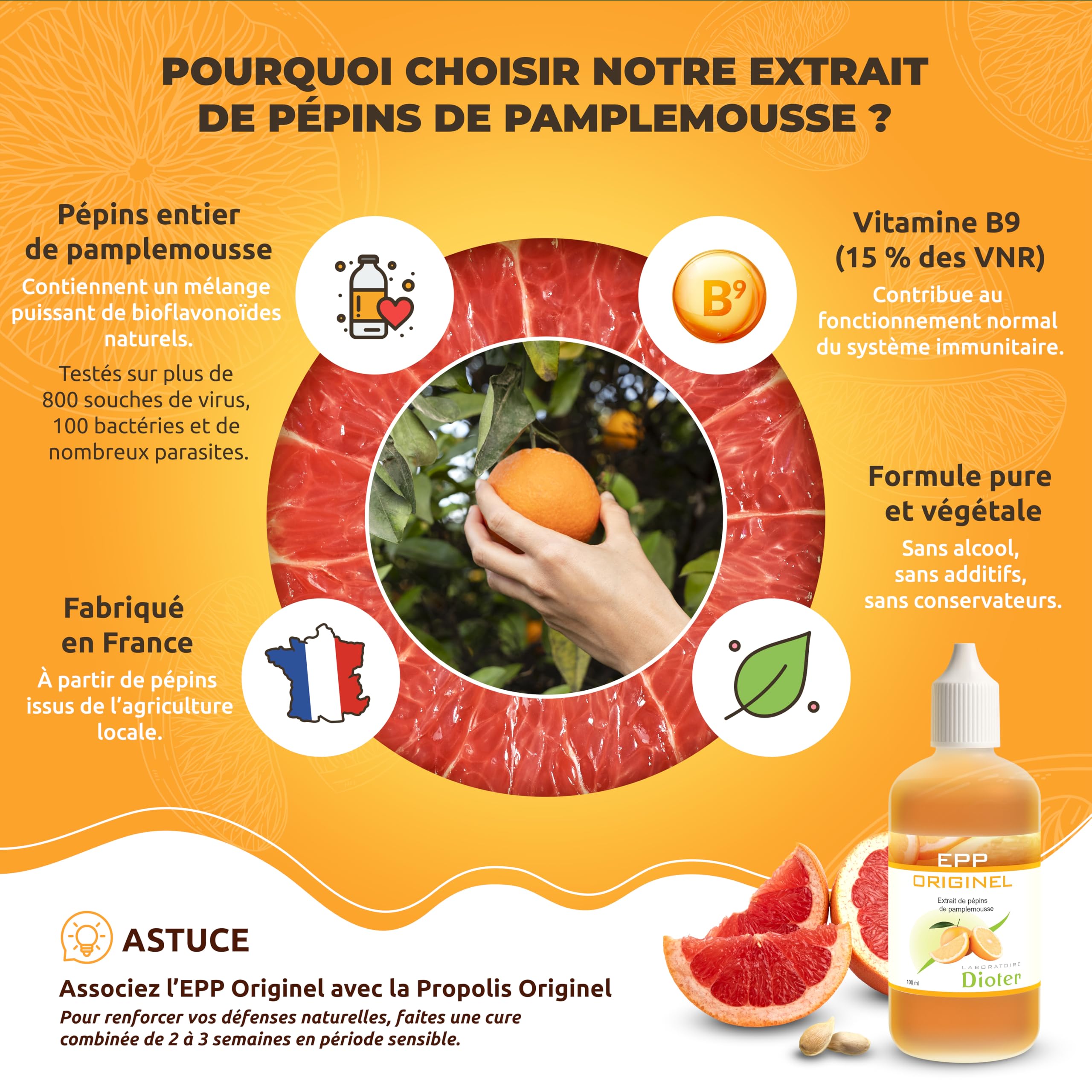 Extrait de Pépins de Pamplemousse Pur 100 ml | Complément Naturel Sans Alcool | Renforce les Défenses Immunitaires | Fabrication Française | Vitamine B9, Sans Conservateur – Laboratoire Dioter