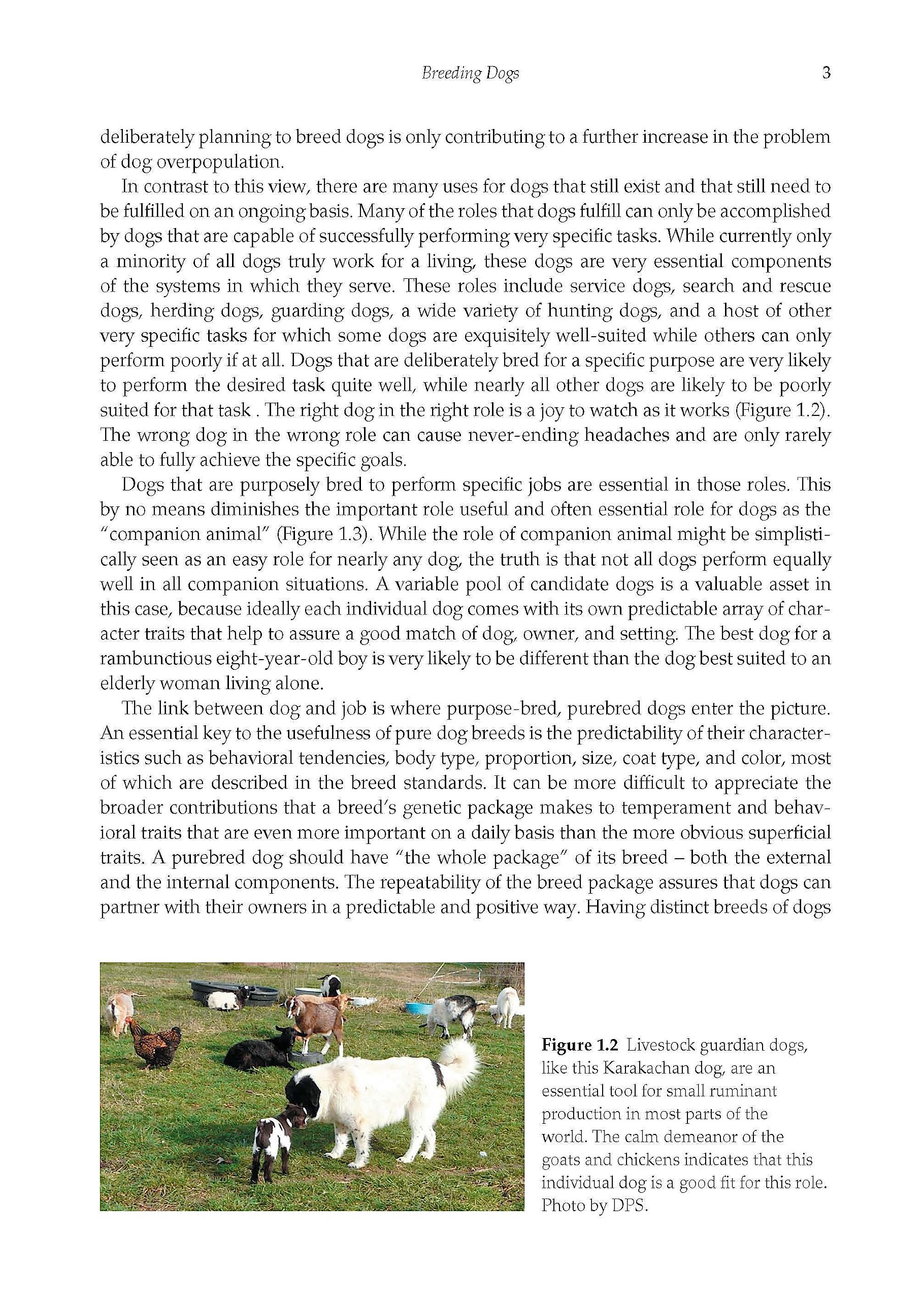 Breeding Better Dogs: Genetics and Reproduction (Animal Breeding)