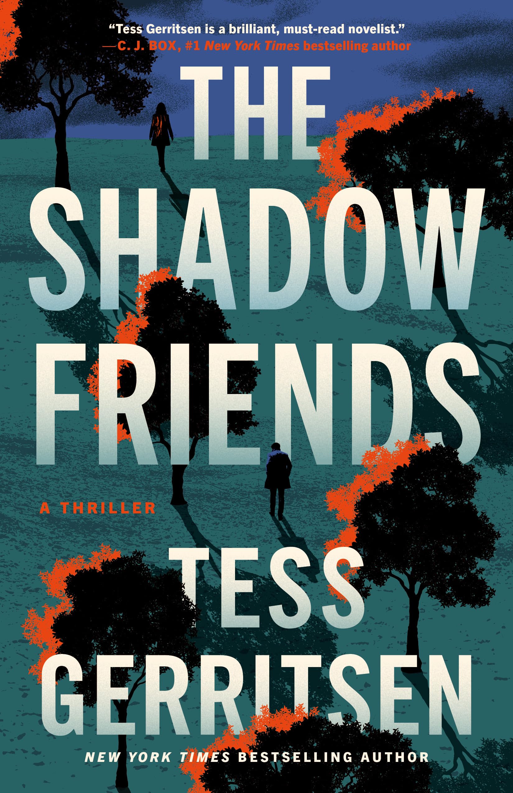 The Shadow Friends: A Thriller: 3
