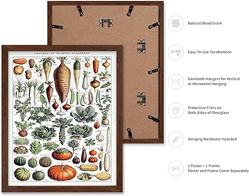 Miniatura 308 de Poster Master Póster vintage de orquídea, estampado de flores retro, arte de pared de plantas exóticas, arte botánico, regalo para hombres y