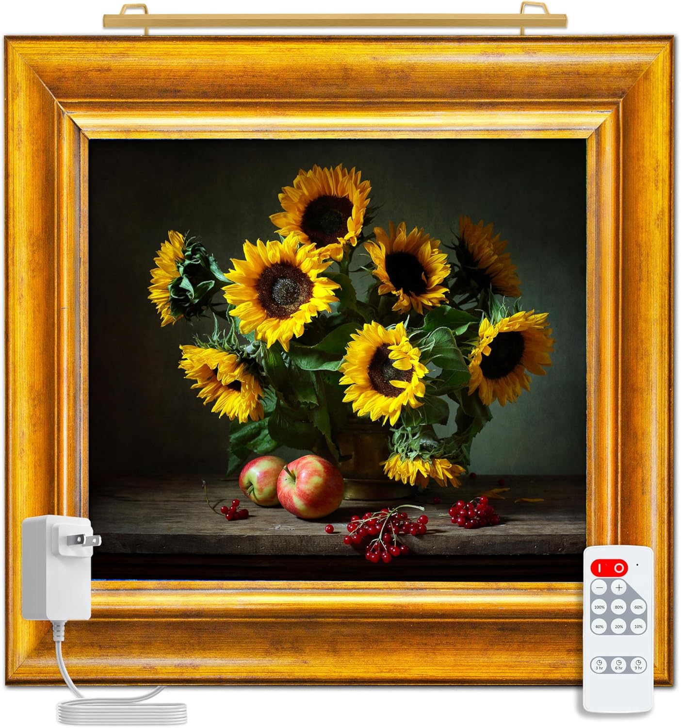 Situ Lighting: Plug-in Vision Series Remote Controlled LED Art and Picture Light - USA Made - 2700K