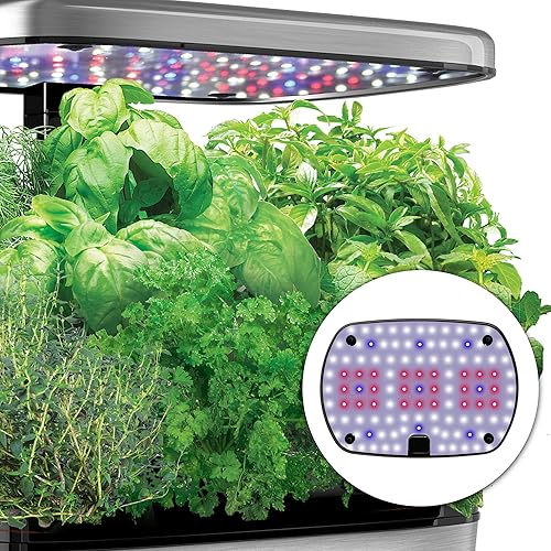 Miniatura 5 de AeroGarden Classic 6 Elite, Stainless Finish