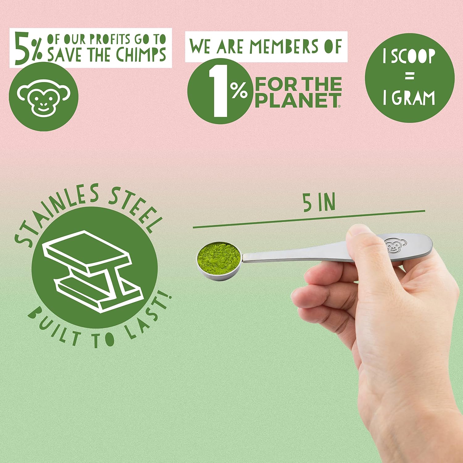 PureChimp Matcha Tea Scoop - 1 Gram Measuring Spoon for Matcha Green Tea Powder - Made with Stainless Steel Metal