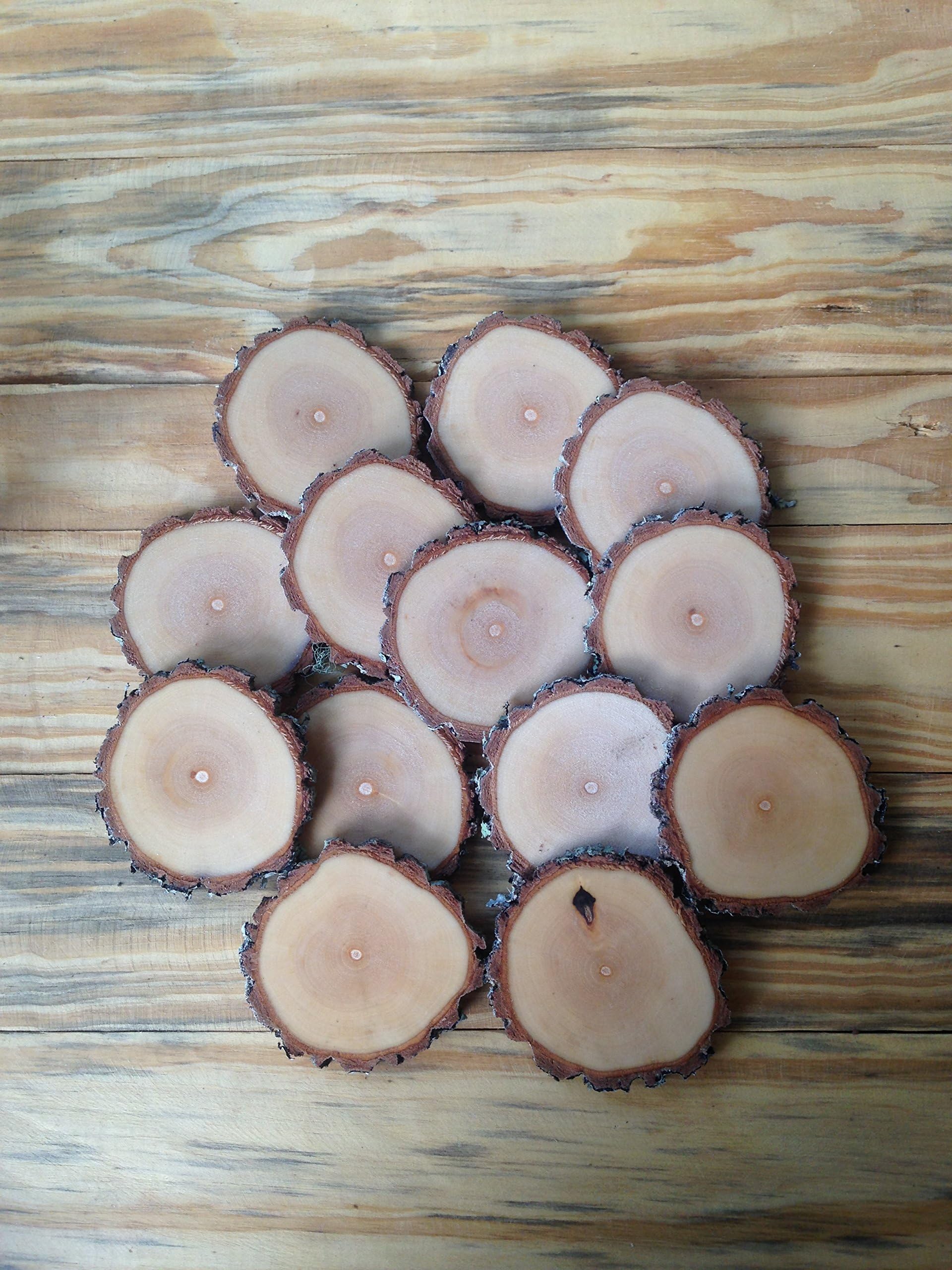 50 2-3" Wood Slices, Tree Slice, Rustic Wedding Decor, Wood Christmas Ornament, Bulk Wood Slice, Rustic Centerpiece, Wood Slab, Dry
