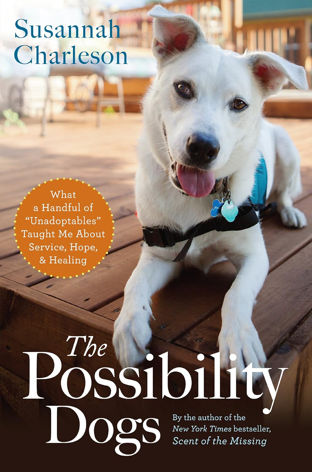 The Possibility Dogs: What a Handful of "Unadoptables" Taught Me About Service, Hope, and Healing