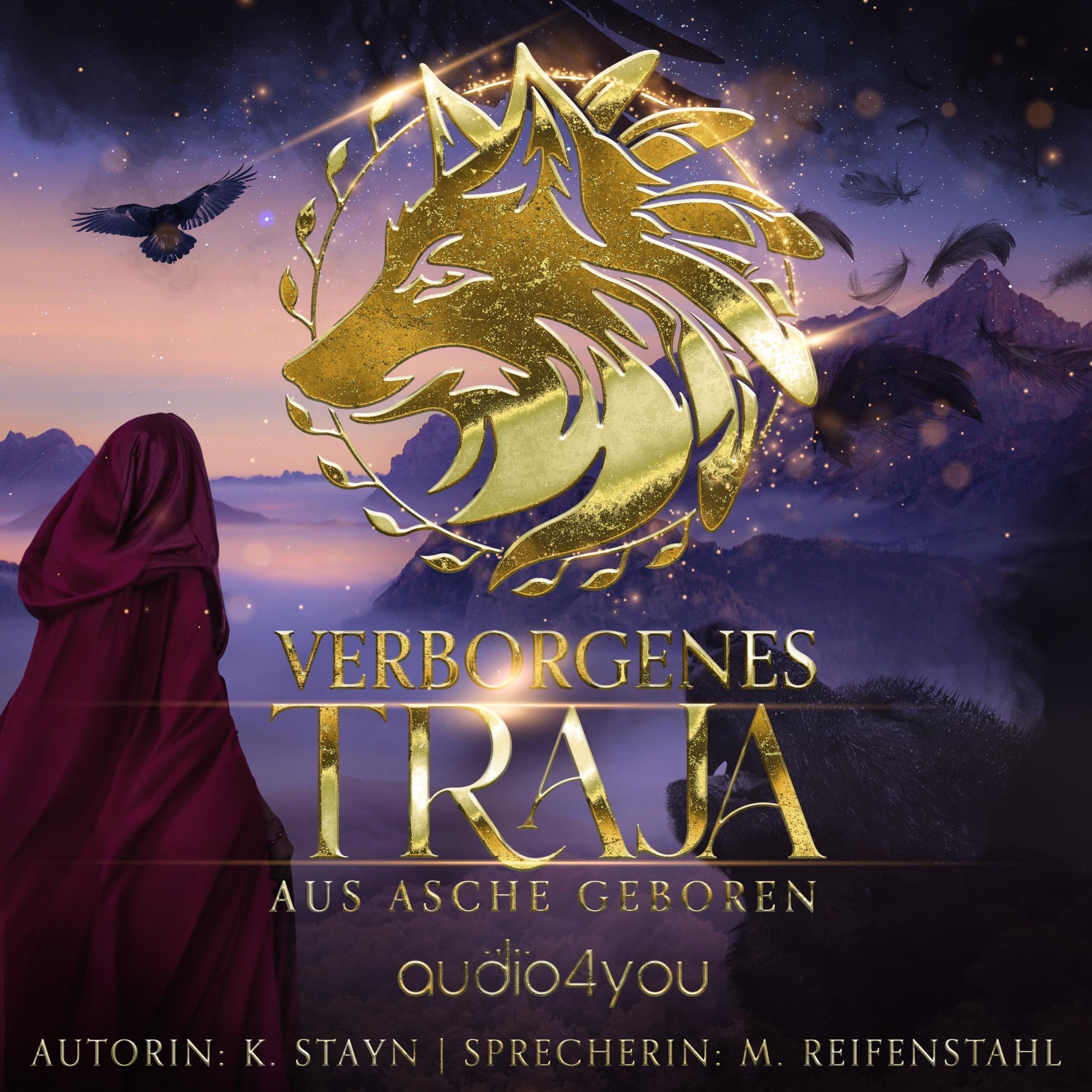 Cover art for Verborgenes Traja