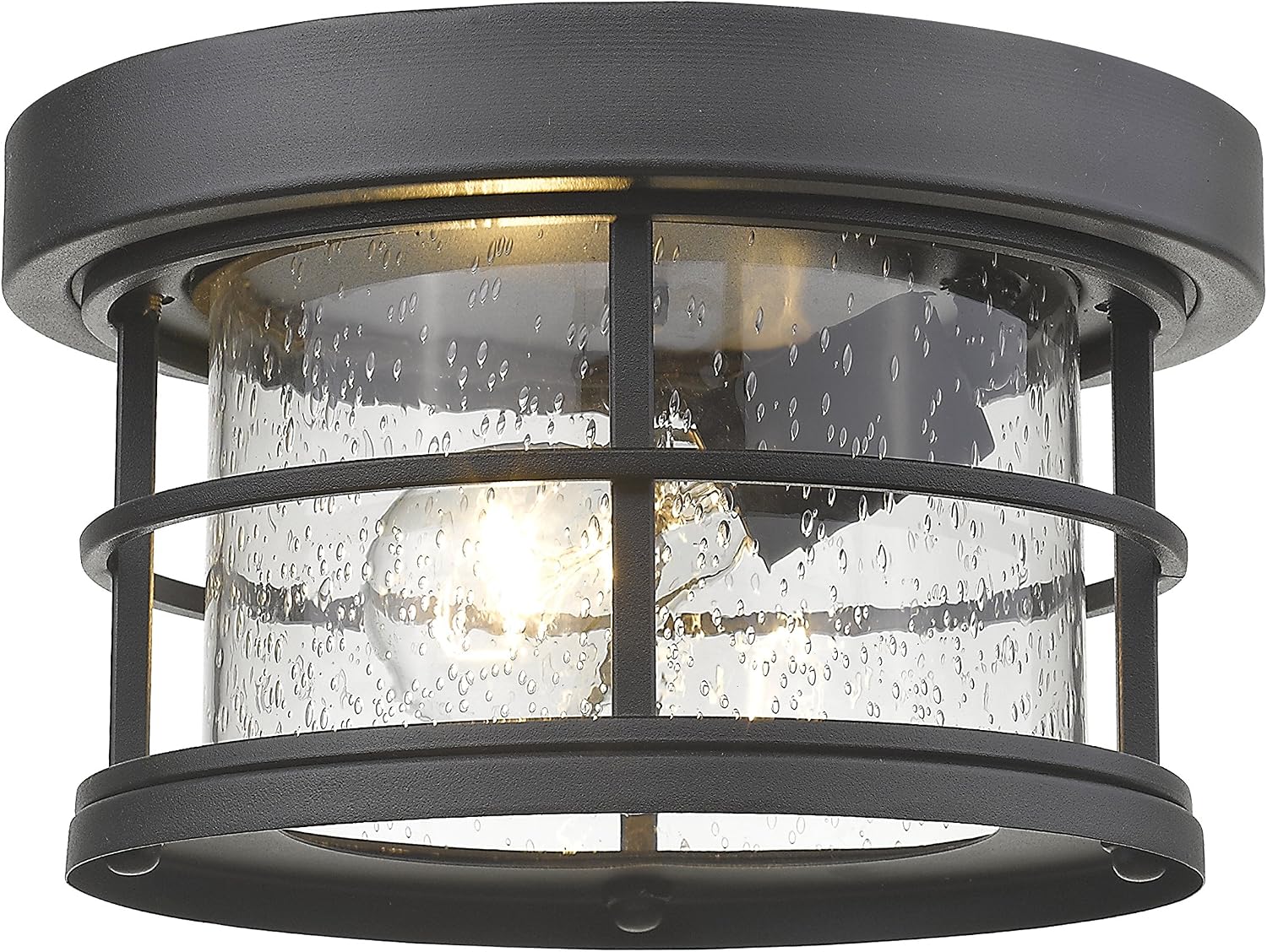 Lámpara de Pared Exterior 1 Luz Z-Lite 555F-BK