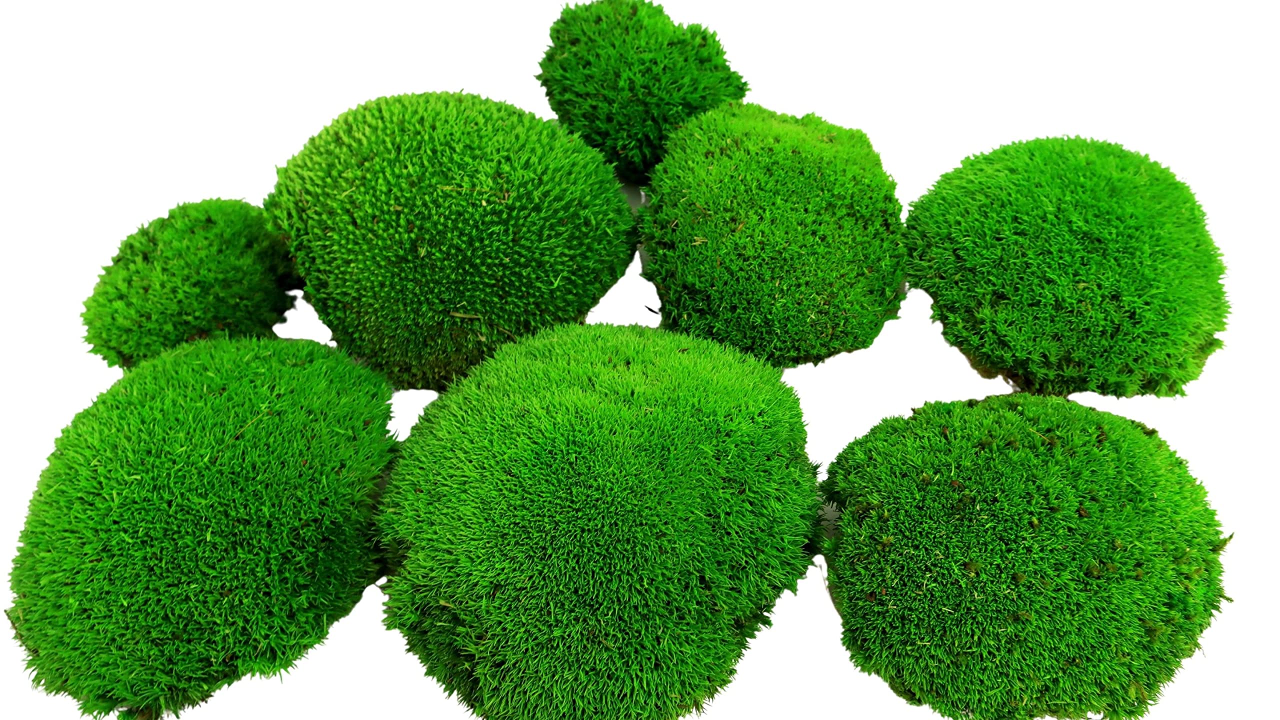 Knutselpakket, Hobbypakket, Doe Het Zelf Pakket. Maak Zelf Een Mosschilderij Kleur Zwart Met Rendier Plat En Bolmos Knutselpakket, Hobbypakket, Doe Het Zelf Pakket. Maak Zelf Een Mosschilderij Kleur Zwart Met Rendier Plat En Bolmos