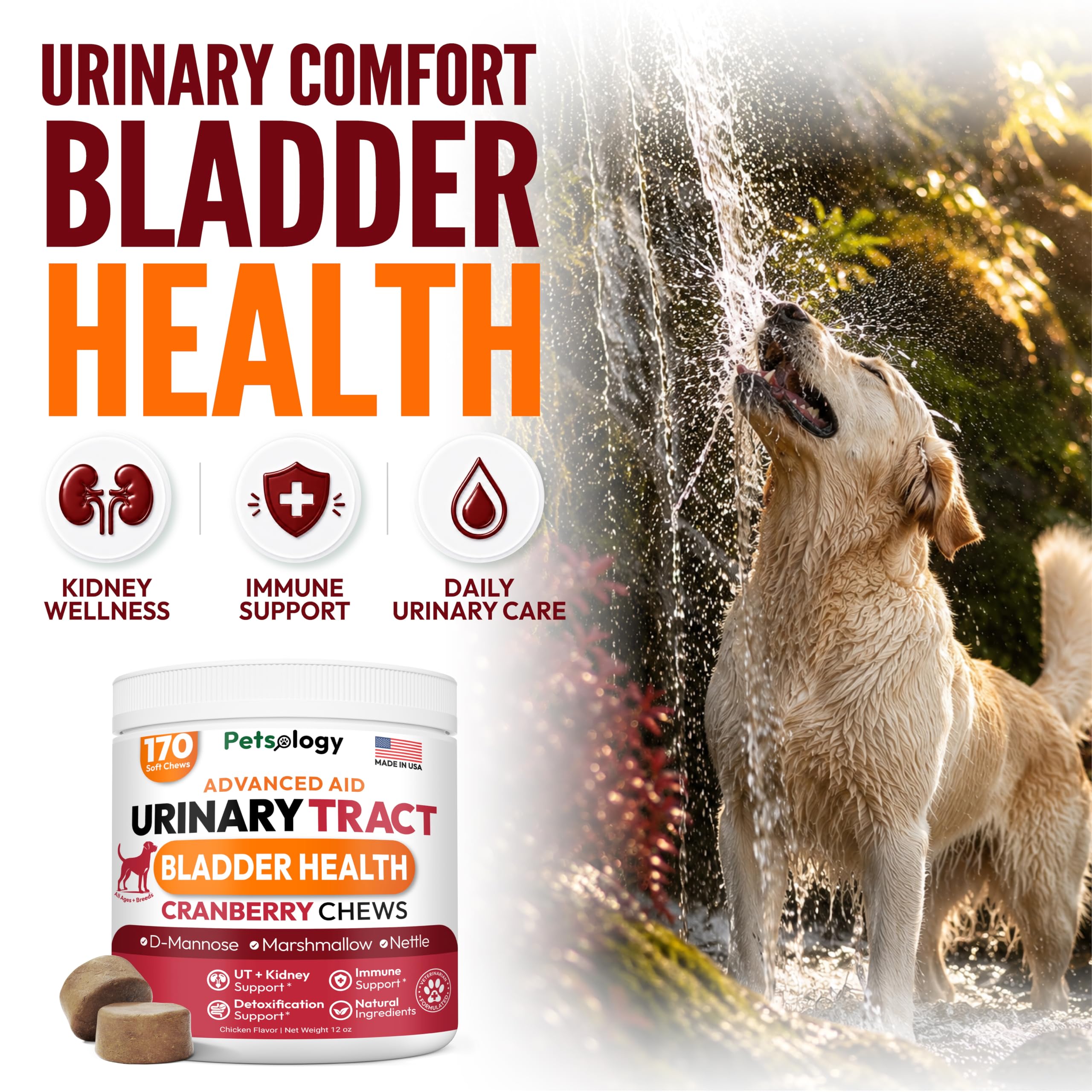 Dog UTI Treatment - 170 Cranberry Chews for Dogs - Urinary Tract Infection — Amazon image 2