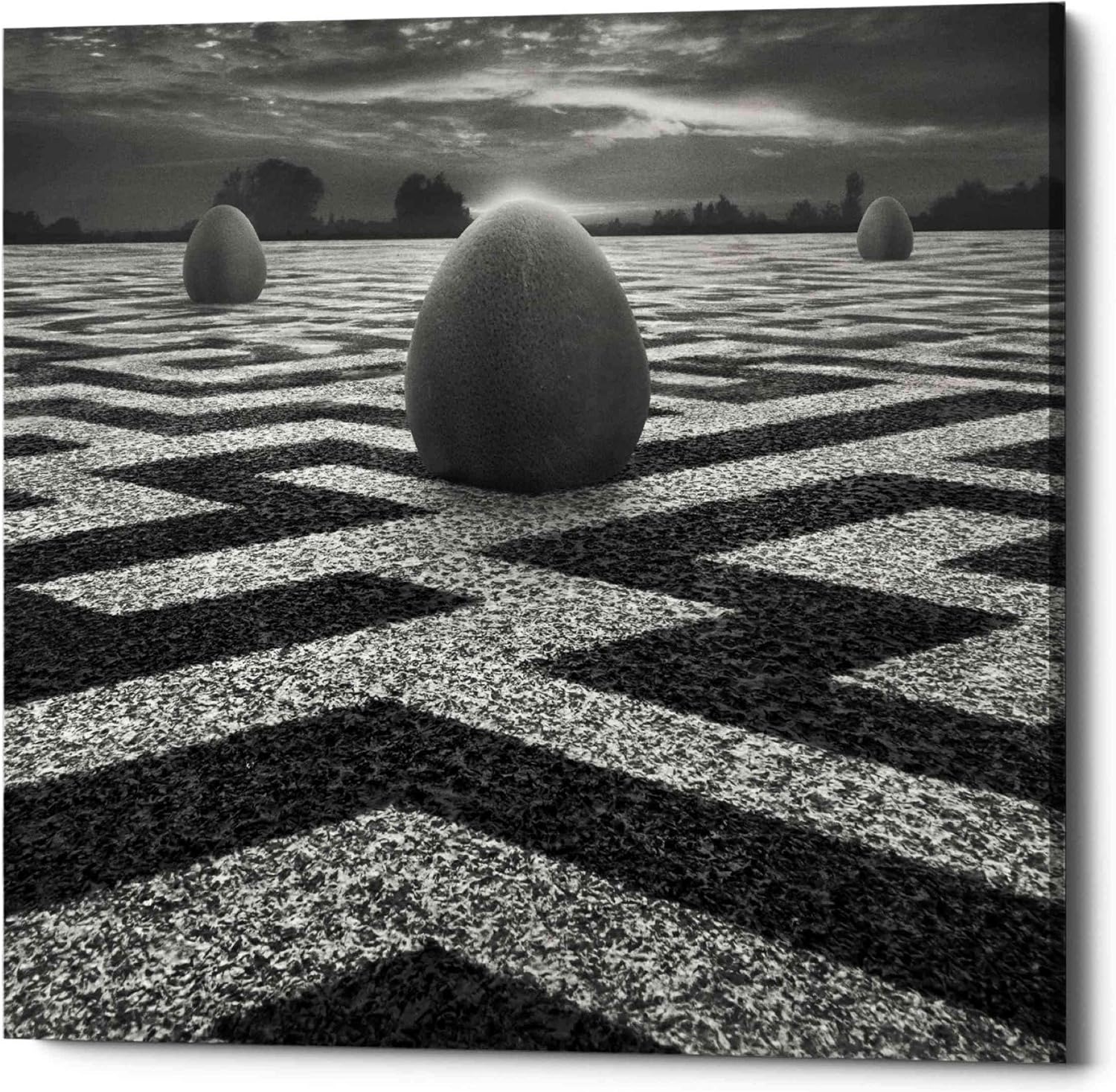 Epic Graffiti 'Ptasi Labirynt' by Dariusz Klimczak, Canvas Wall Art, 12"x12"