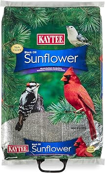 Kaytee Wild Bird Black Oil Sunflower Food, 20 Pounds