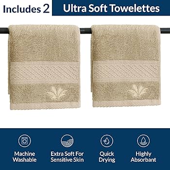 Bio Bidet BB2000 Electric Bidet Toilet Seat, Warm Water with