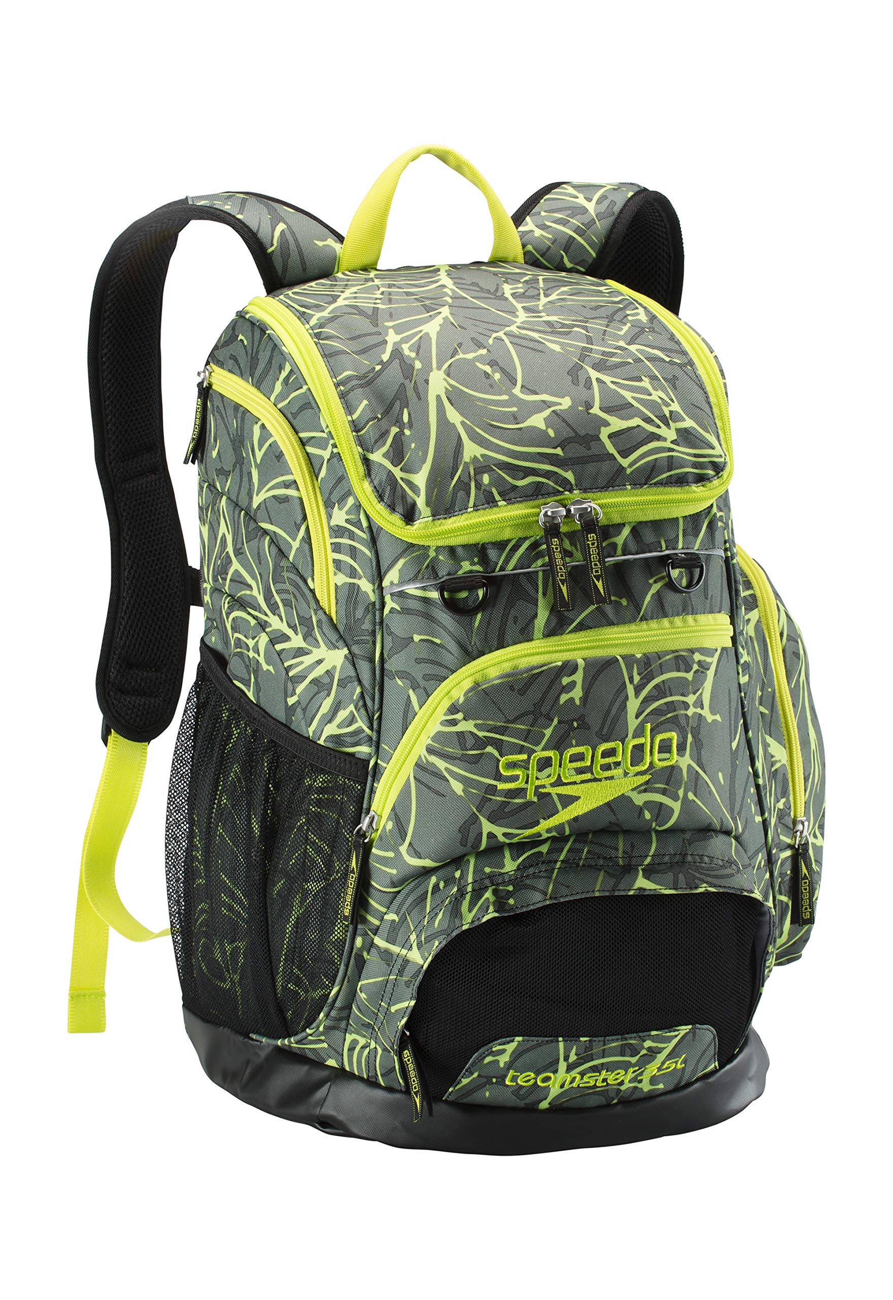 Speedo Desertcart INDIA