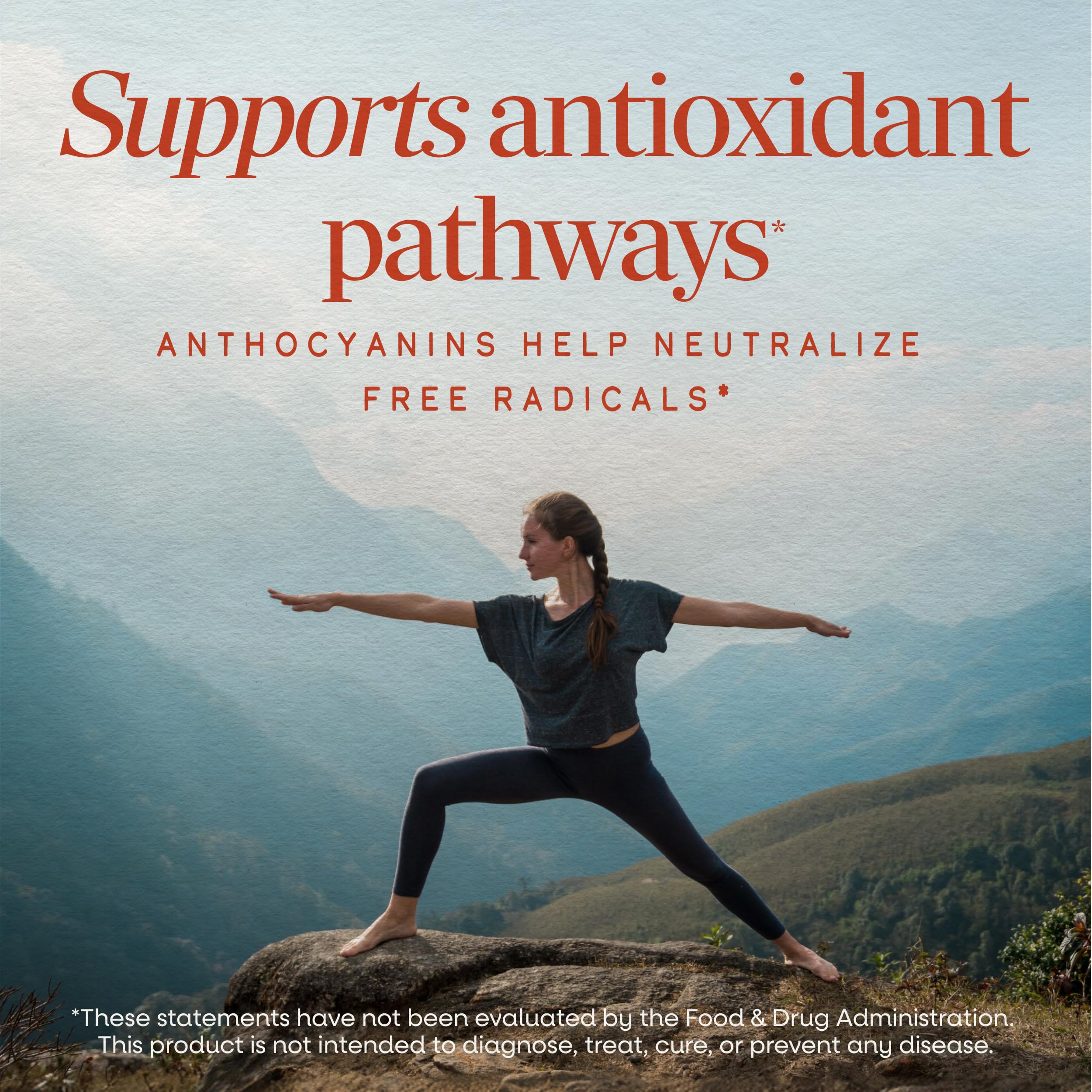 Nature's Way Tart Cherry Ultra Chewables, Antioxidant Support*, 90 ct — Amazon image 2
