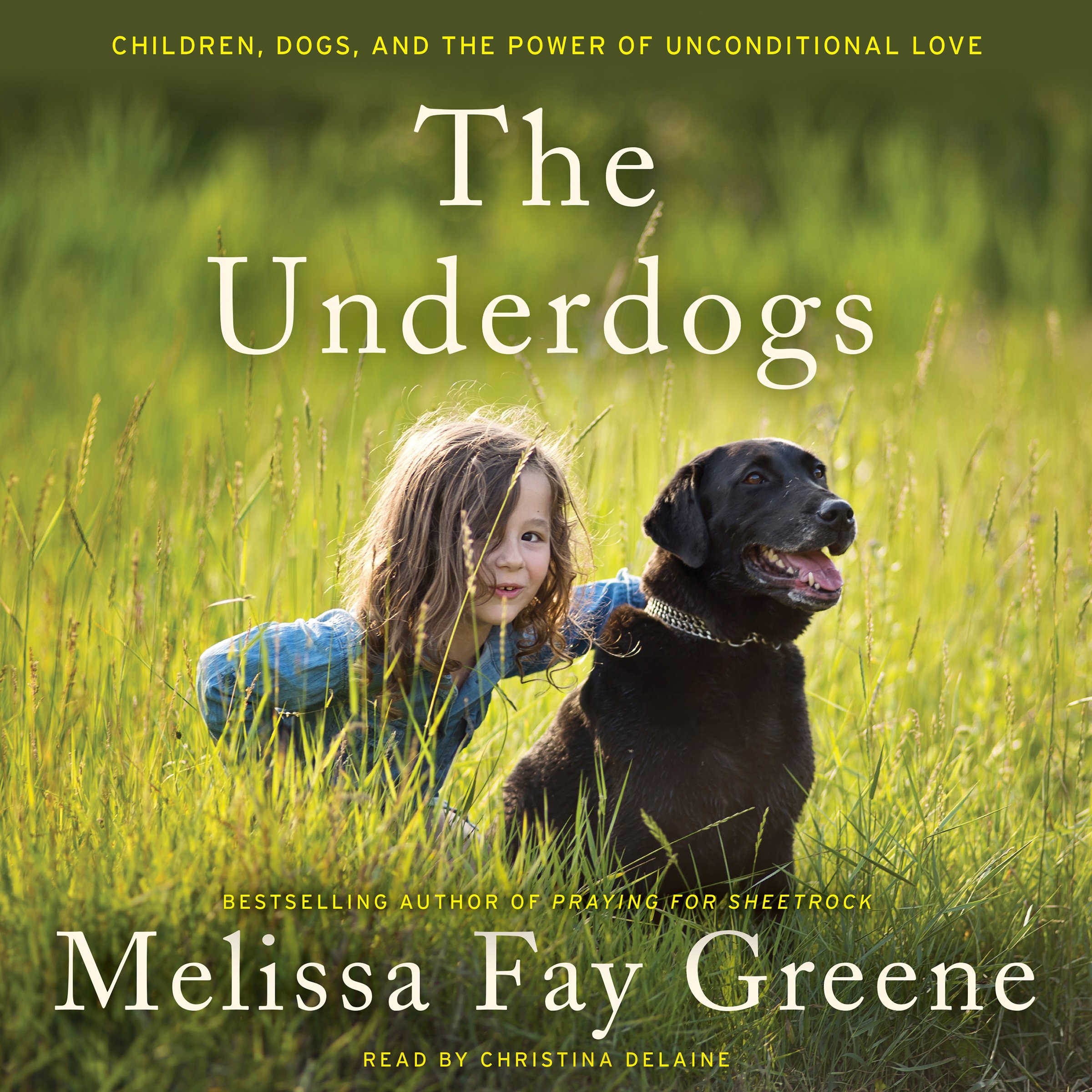Cover art for The Underdogs
