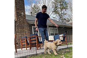 Zippity Metal Garden Fence and Gate Bundle