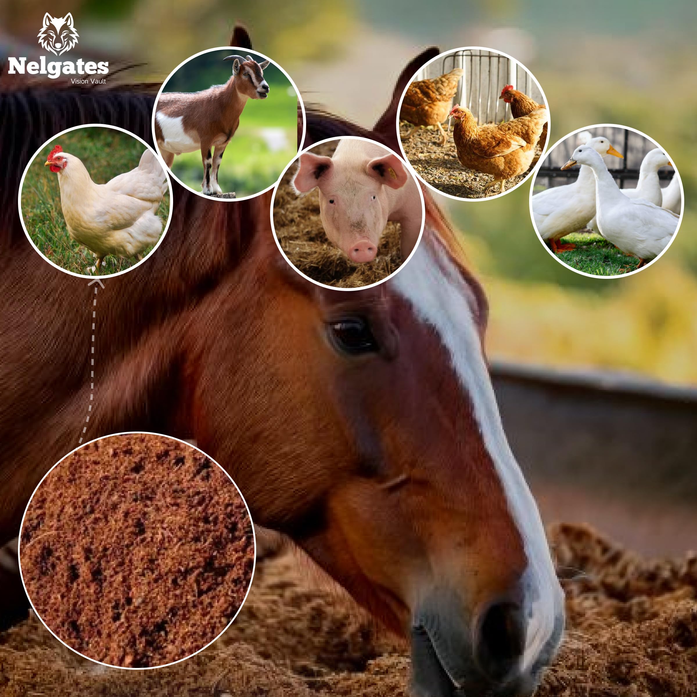 Nelgates Coco peat for Reptile, Horse, Cow, Hen, Pig, Goat Bedding, Natural Coco peat 650g 2