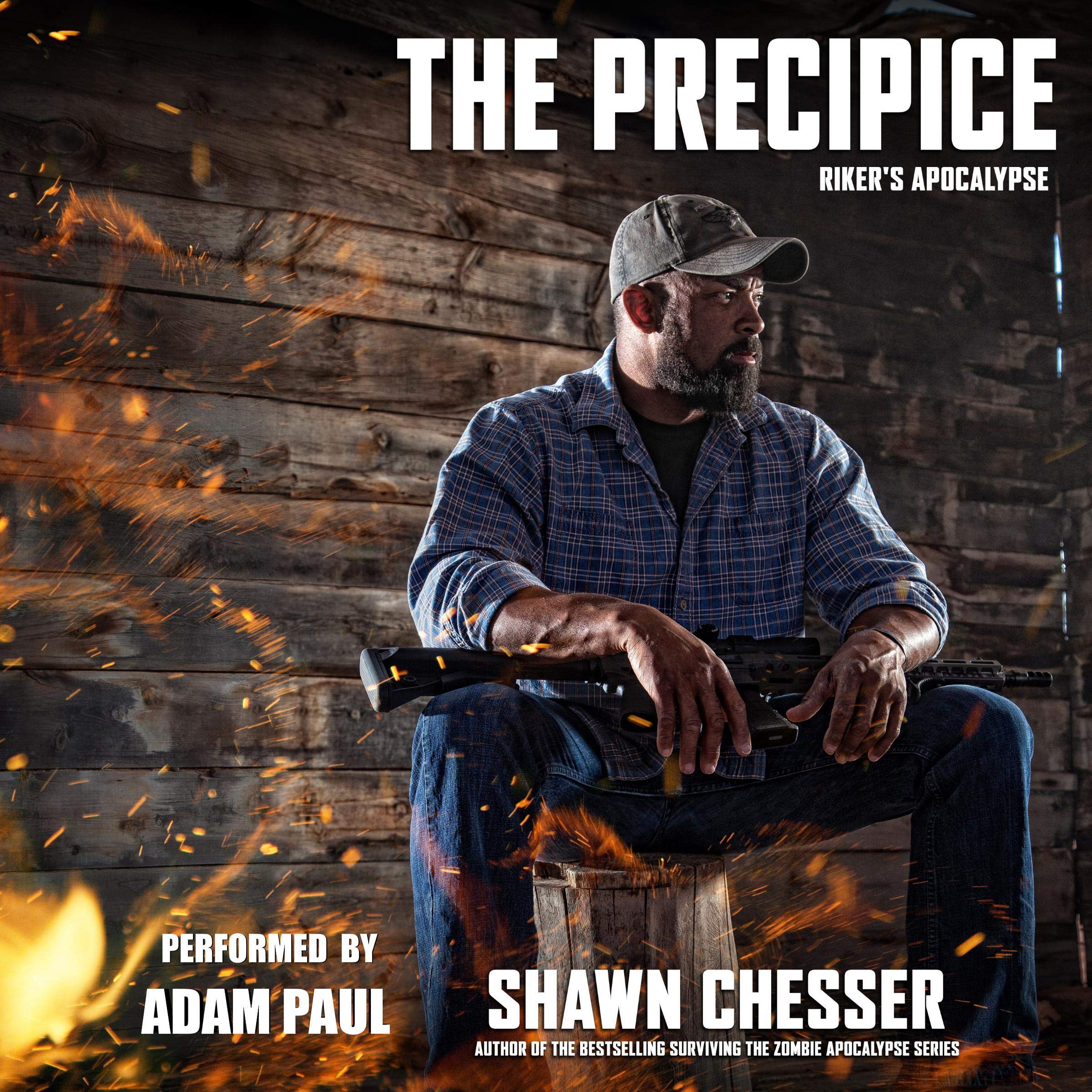 Cover art for The Precipice