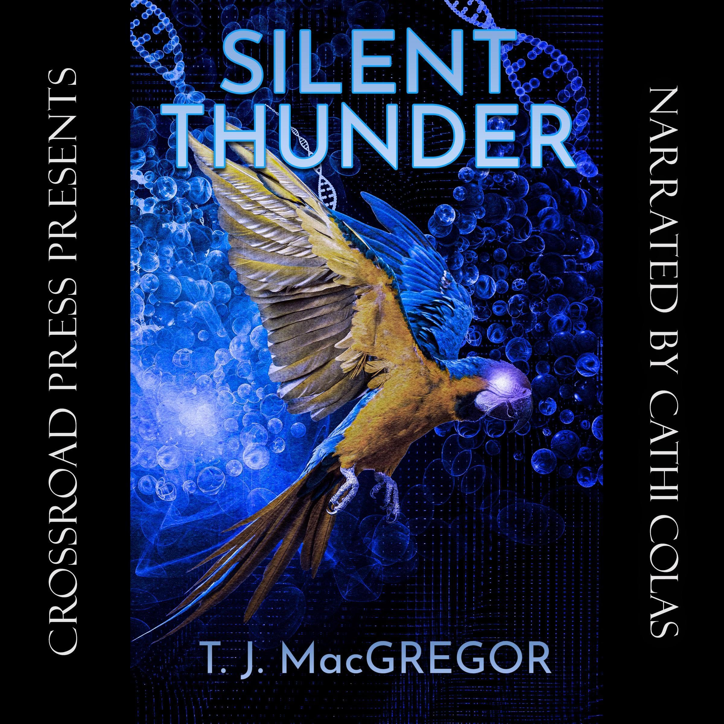 Cover art for Silent Thunder: Mira Morales Thrillers, Book 2