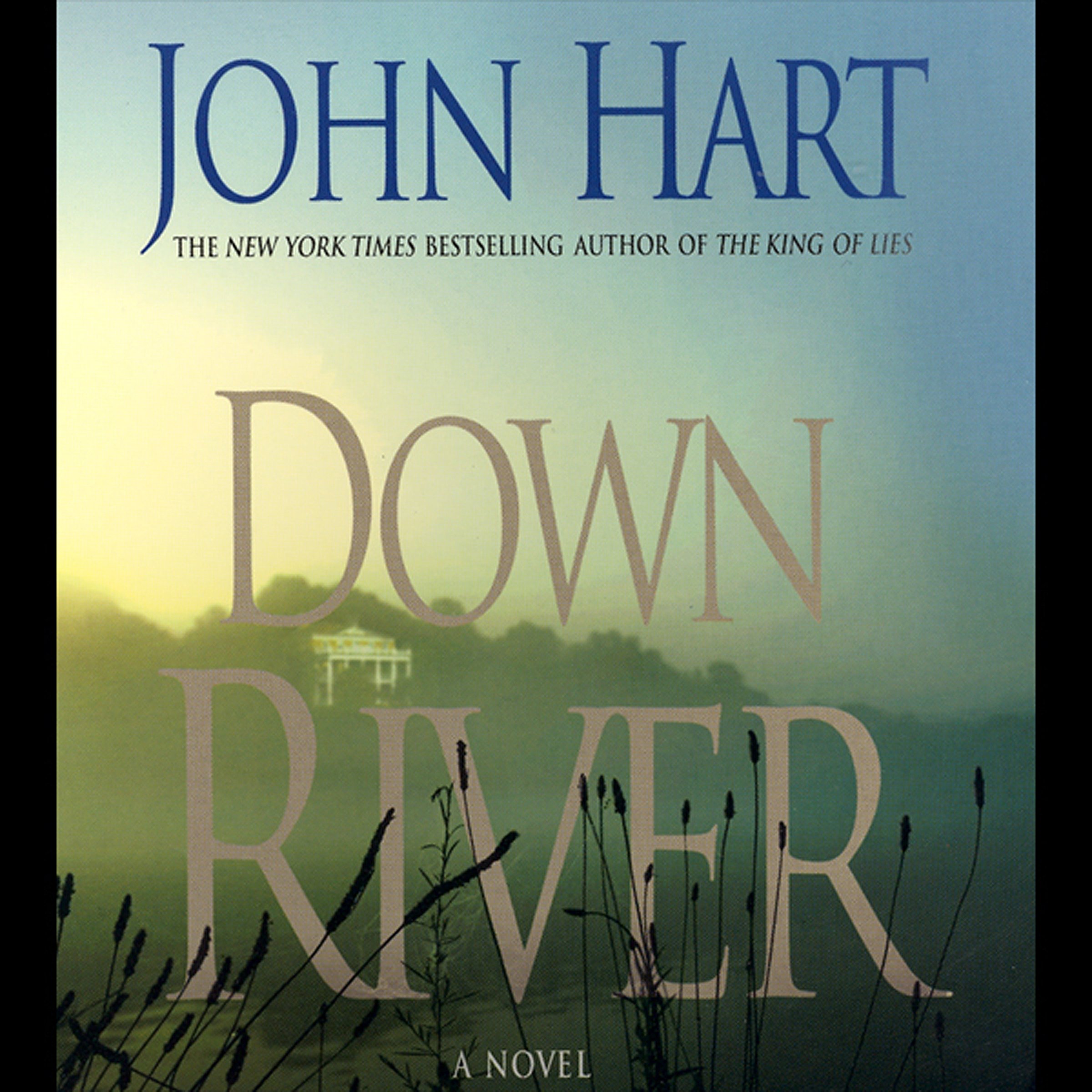 Cover art for Down River