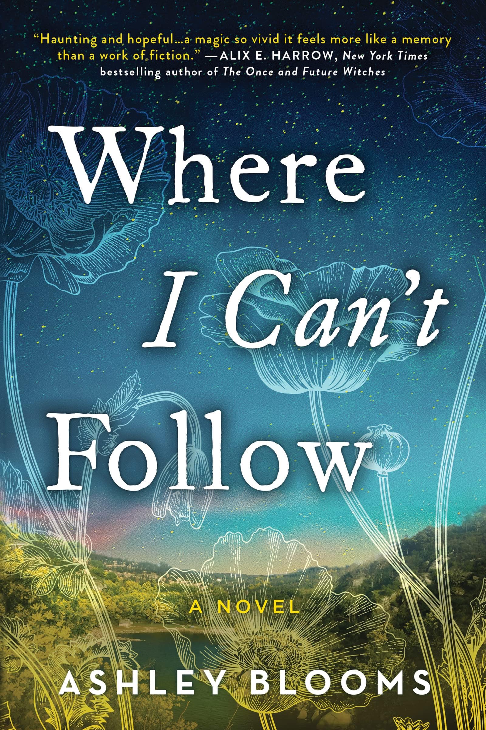 Where I Can’t Follow: A Novel