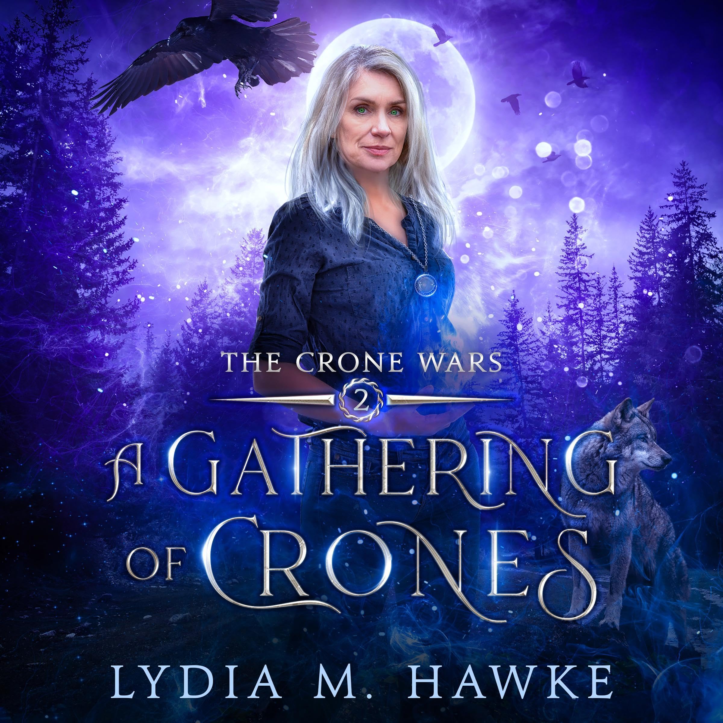 Cover art for A Gathering of Crones